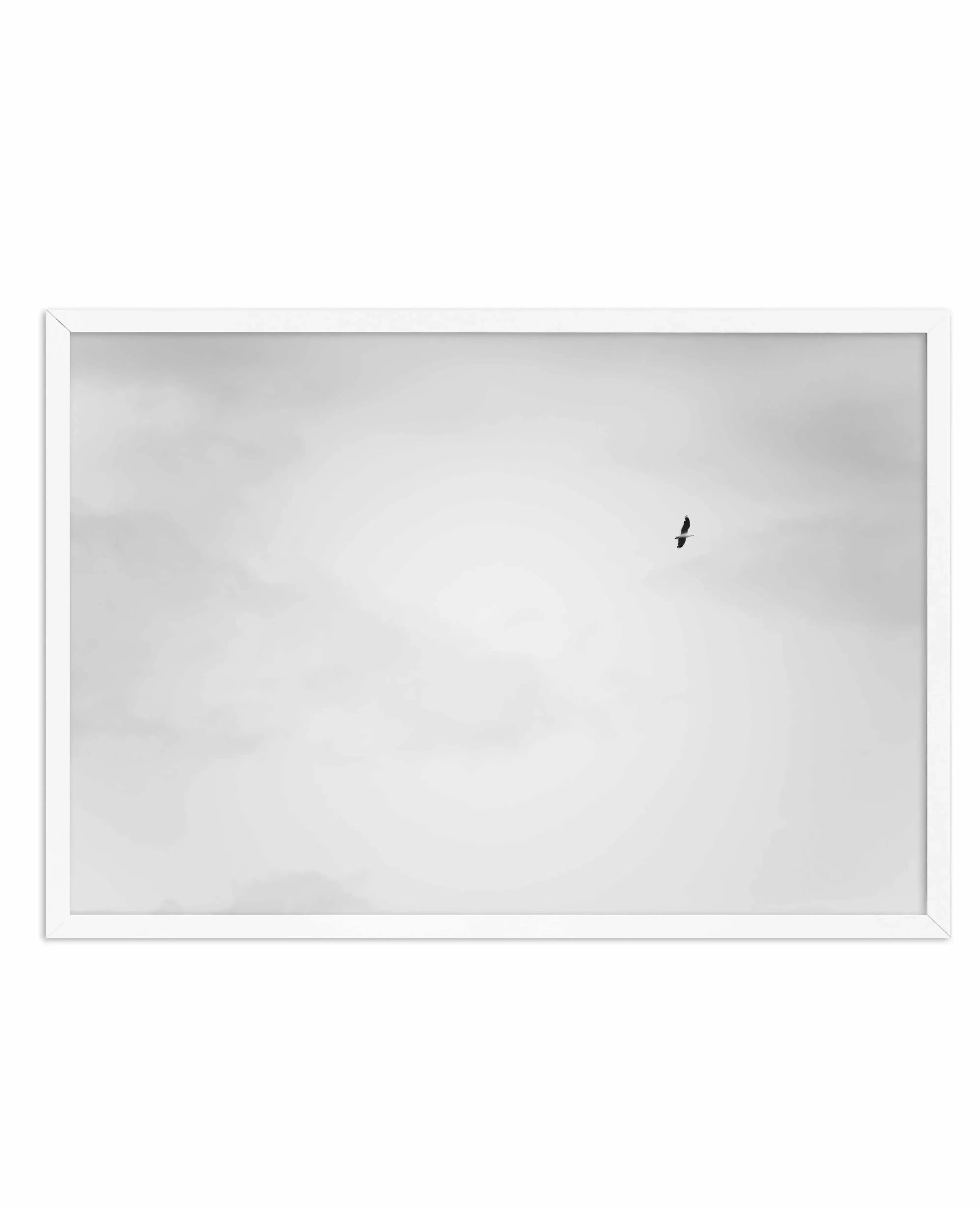 Freedom II Art Print-PRINT-Olive et Oriel-Olive et Oriel-A4 | 8.3" x 11.7" | 21 x 29.7cm-White-With White Border-Buy-Australian-Art-Prints-Online-with-Olive-et-Oriel-Your-Artwork-Specialists-Austrailia-Decorate-With-Coastal-Photo-Wall-Art-Prints-From-Our-Beach-House-Artwork-Collection-Fine-Poster-and-Framed-Artwork