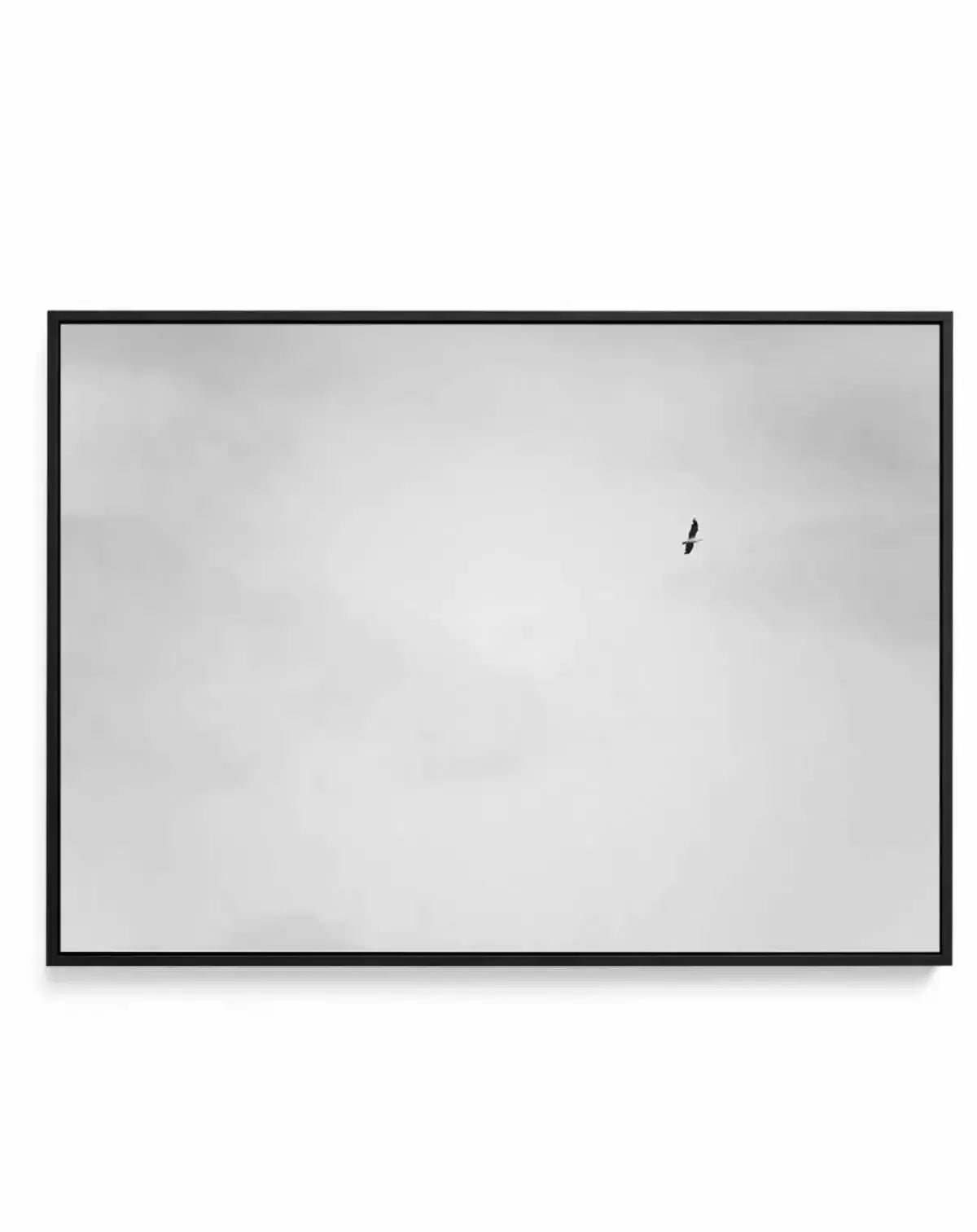 Freedom II | Framed Canvas-CANVAS-You can shop wall art online with Olive et Oriel for everything from abstract art to fun kids wall art. Our beautiful modern art prints and canvas art are available from large canvas prints to wall art paintings and our proudly Australian artwork collection offers only the highest quality framed large wall art and canvas art Australia - You can buy fashion photography prints or Hampton print posters and paintings on canvas from Olive et Oriel and have them deliv