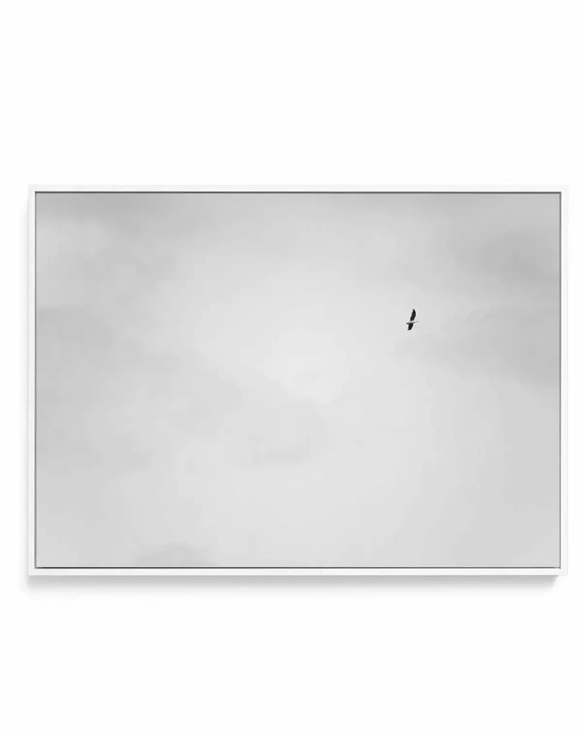 Freedom II | Framed Canvas-CANVAS-You can shop wall art online with Olive et Oriel for everything from abstract art to fun kids wall art. Our beautiful modern art prints and canvas art are available from large canvas prints to wall art paintings and our proudly Australian artwork collection offers only the highest quality framed large wall art and canvas art Australia - You can buy fashion photography prints or Hampton print posters and paintings on canvas from Olive et Oriel and have them deliv