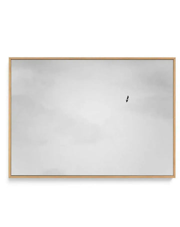 Freedom II | Framed Canvas-CANVAS-You can shop wall art online with Olive et Oriel for everything from abstract art to fun kids wall art. Our beautiful modern art prints and canvas art are available from large canvas prints to wall art paintings and our proudly Australian artwork collection offers only the highest quality framed large wall art and canvas art Australia - You can buy fashion photography prints or Hampton print posters and paintings on canvas from Olive et Oriel and have them deliv