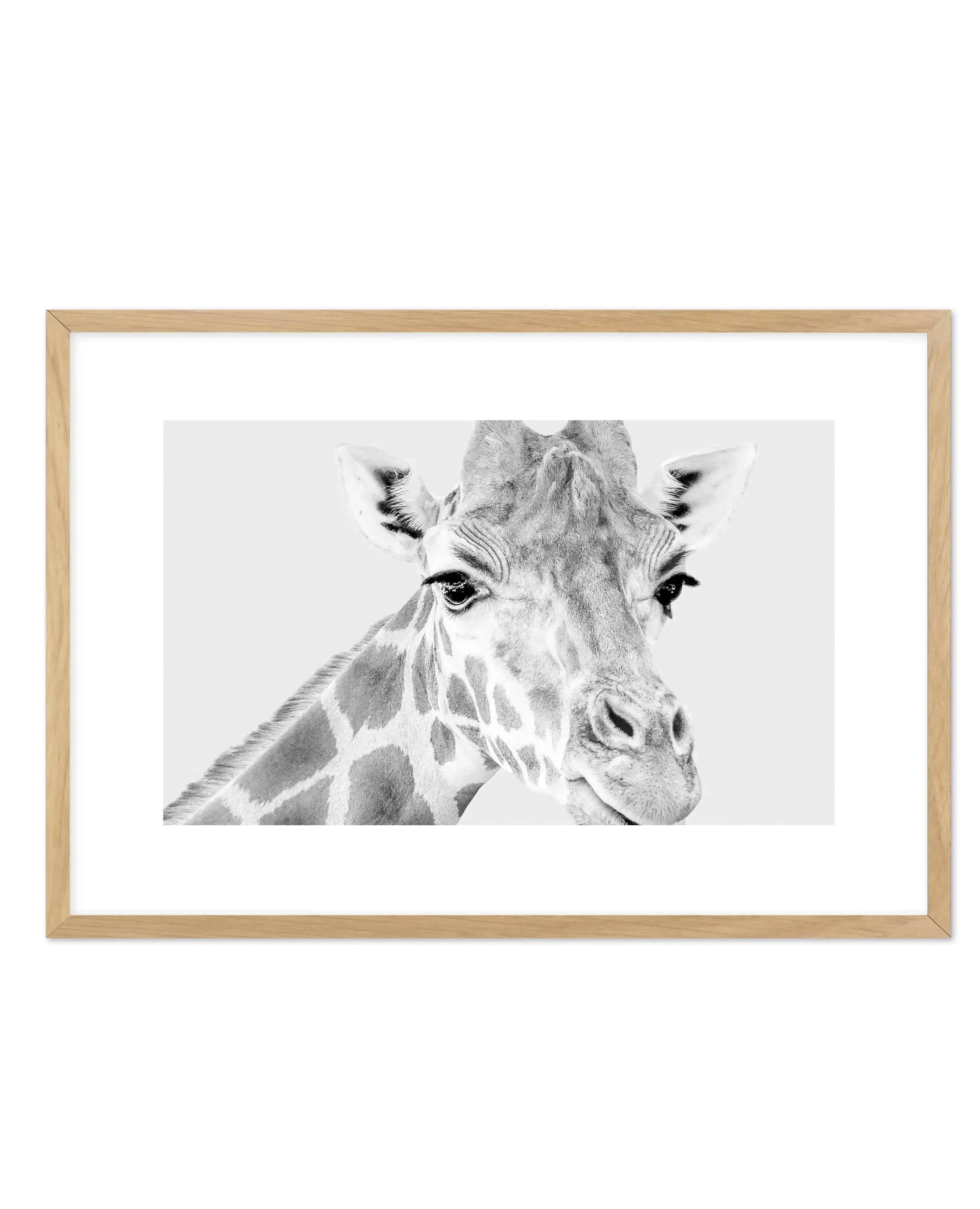 Giraffe B&W | LS Art Print-PRINT-Olive et Oriel-Olive et Oriel-A5 | 5.8" x 8.3" | 14.8 x 21cm-Oak-With White Border-Buy-Australian-Art-Prints-Online-with-Olive-et-Oriel-Your-Artwork-Specialists-Austrailia-Decorate-With-Coastal-Photo-Wall-Art-Prints-From-Our-Beach-House-Artwork-Collection-Fine-Poster-and-Framed-Artwork