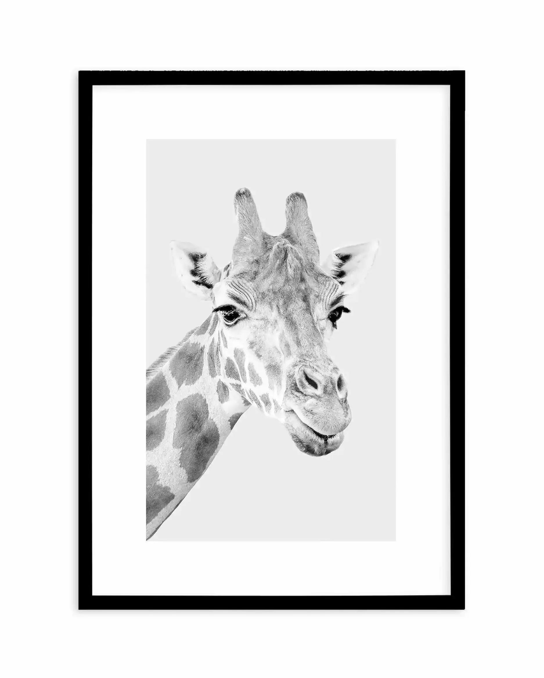 Giraffe B&W | PT Art Print-PRINT-Olive et Oriel-Olive et Oriel-A5 | 5.8" x 8.3" | 14.8 x 21cm-Black-With White Border-Buy-Australian-Art-Prints-Online-with-Olive-et-Oriel-Your-Artwork-Specialists-Austrailia-Decorate-With-Coastal-Photo-Wall-Art-Prints-From-Our-Beach-House-Artwork-Collection-Fine-Poster-and-Framed-Artwork