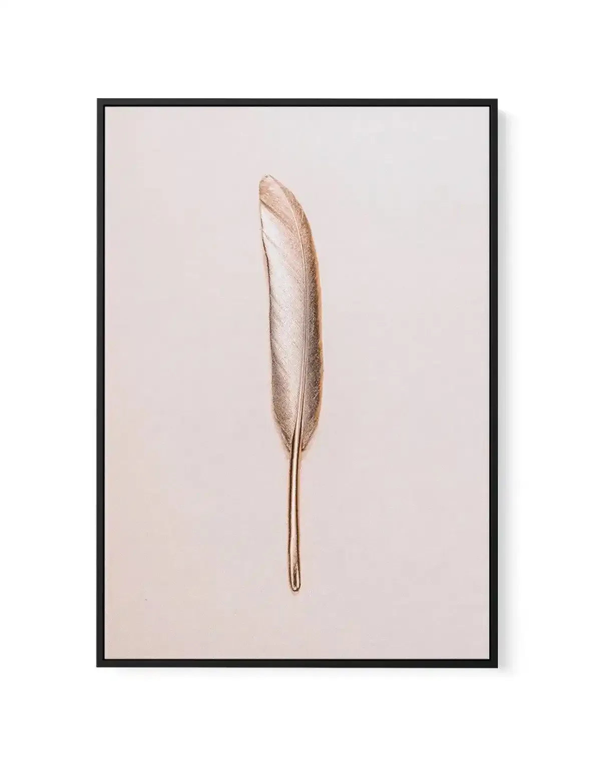 Golden Feather | Framed Canvas-CANVAS-You can shop wall art online with Olive et Oriel for everything from abstract art to fun kids wall art. Our beautiful modern art prints and canvas art are available from large canvas prints to wall art paintings and our proudly Australian artwork collection offers only the highest quality framed large wall art and canvas art Australia - You can buy fashion photography prints or Hampton print posters and paintings on canvas from Olive et Oriel and have them d