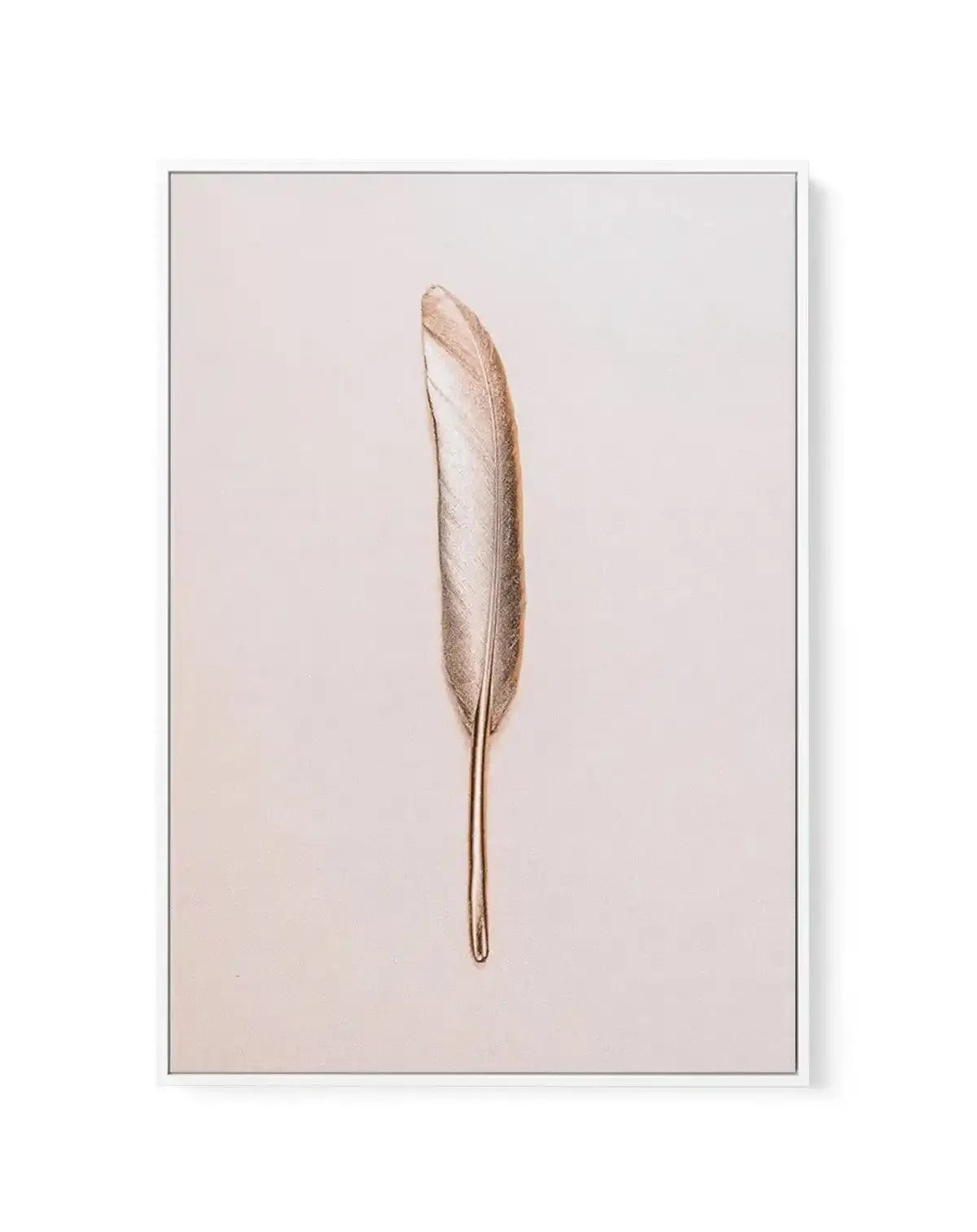 Golden Feather | Framed Canvas-CANVAS-You can shop wall art online with Olive et Oriel for everything from abstract art to fun kids wall art. Our beautiful modern art prints and canvas art are available from large canvas prints to wall art paintings and our proudly Australian artwork collection offers only the highest quality framed large wall art and canvas art Australia - You can buy fashion photography prints or Hampton print posters and paintings on canvas from Olive et Oriel and have them d