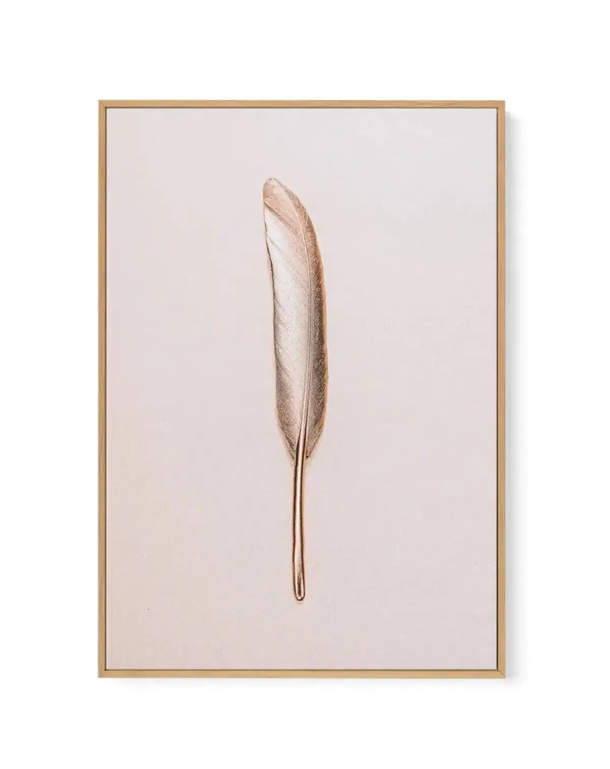 Golden Feather | Framed Canvas-CANVAS-You can shop wall art online with Olive et Oriel for everything from abstract art to fun kids wall art. Our beautiful modern art prints and canvas art are available from large canvas prints to wall art paintings and our proudly Australian artwork collection offers only the highest quality framed large wall art and canvas art Australia - You can buy fashion photography prints or Hampton print posters and paintings on canvas from Olive et Oriel and have them d