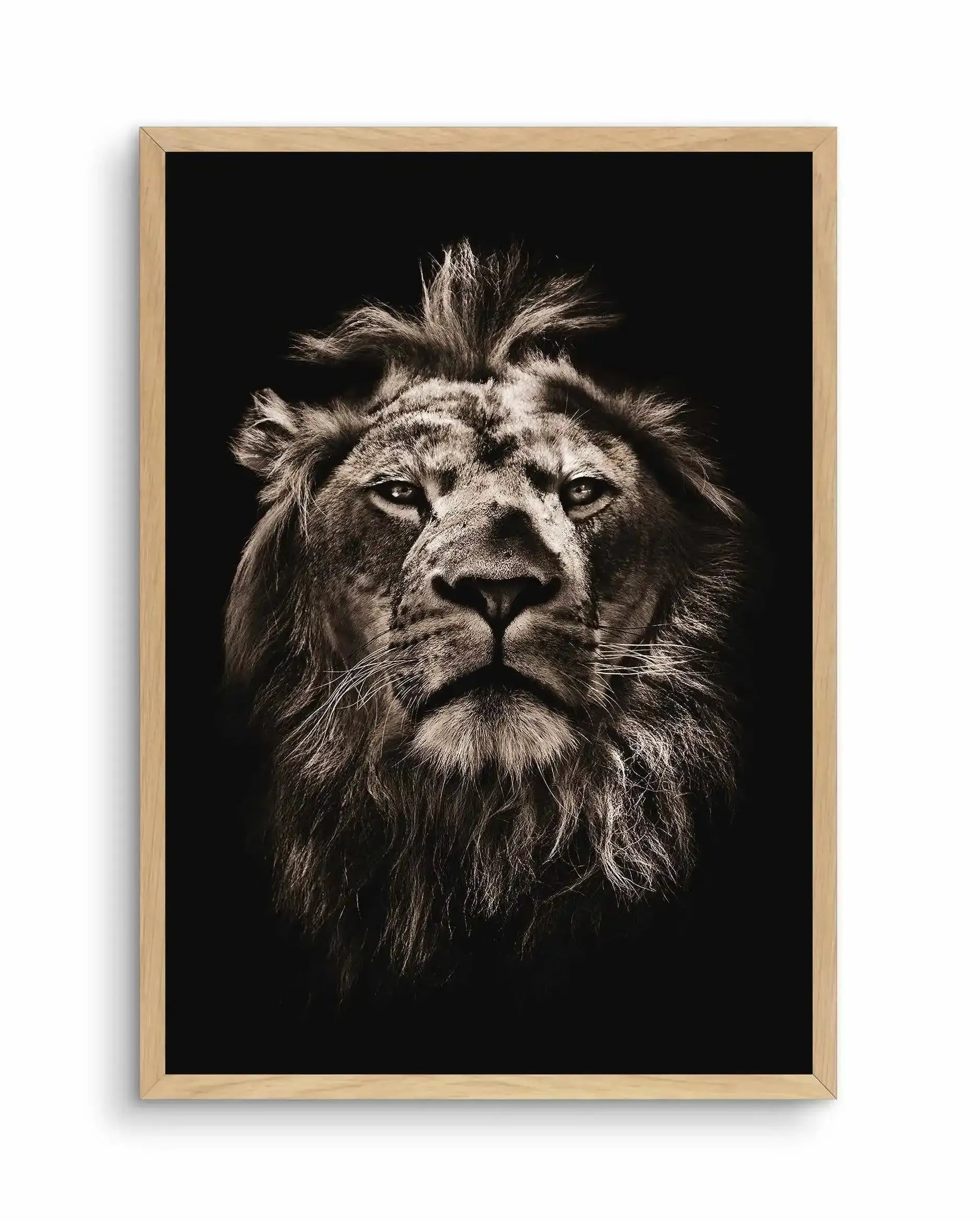 Golden Lion Art Print-PRINT-Olive et Oriel-Olive et Oriel-A5 | 5.8" x 8.3" | 14.8 x 21cm-Oak-With White Border-Buy-Australian-Art-Prints-Online-with-Olive-et-Oriel-Your-Artwork-Specialists-Austrailia-Decorate-With-Coastal-Photo-Wall-Art-Prints-From-Our-Beach-House-Artwork-Collection-Fine-Poster-and-Framed-Artwork