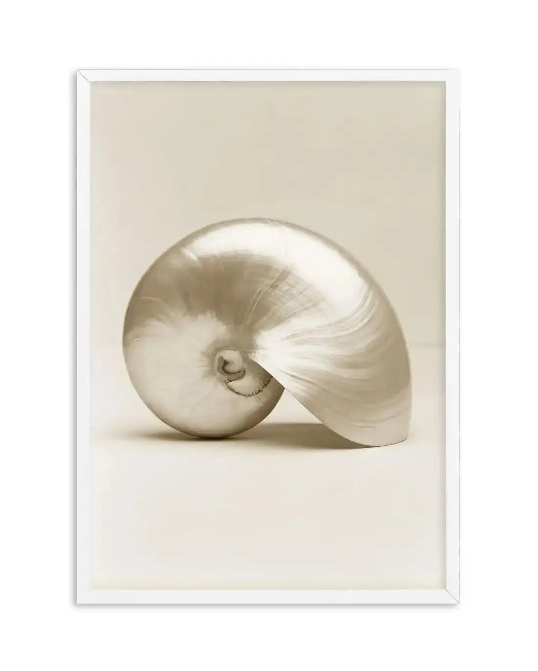Golden Nautilus Art Print-PRINT-Olive et Oriel-Olive et Oriel-A5 | 5.8" x 8.3" | 14.8 x 21cm-White-With White Border-Buy-Australian-Art-Prints-Online-with-Olive-et-Oriel-Your-Artwork-Specialists-Austrailia-Decorate-With-Coastal-Photo-Wall-Art-Prints-From-Our-Beach-House-Artwork-Collection-Fine-Poster-and-Framed-Artwork