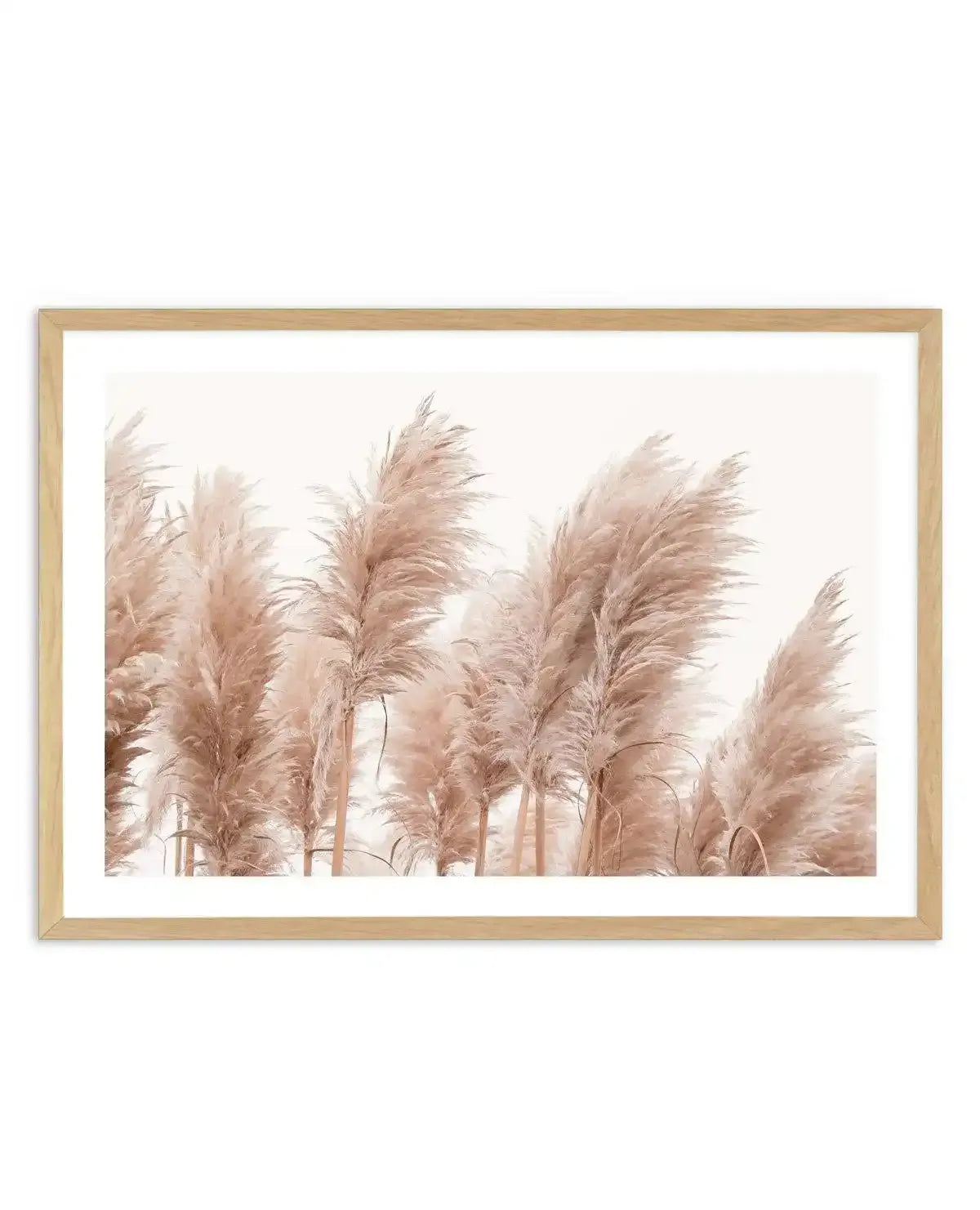 Golden Pampas Art Print-PRINT-Olive et Oriel-Olive et Oriel-A5 | 5.8" x 8.3" | 14.8 x 21cm-Oak-With White Border-Buy-Australian-Art-Prints-Online-with-Olive-et-Oriel-Your-Artwork-Specialists-Austrailia-Decorate-With-Coastal-Photo-Wall-Art-Prints-From-Our-Beach-House-Artwork-Collection-Fine-Poster-and-Framed-Artwork