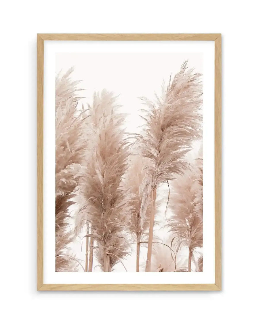 Framed photography art print featuring a close-up of tall pampas grass plumes in soft, muted golden-beige and dusty pink tones against a bright white background, displayed in a natural oak frame with white border.