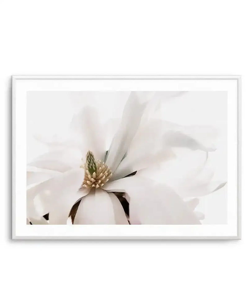 Framed photography art print of a close-up white magnolia flower with soft, delicate petals and a prominent green and gold stamen at its center, displayed in a white frame with white border.