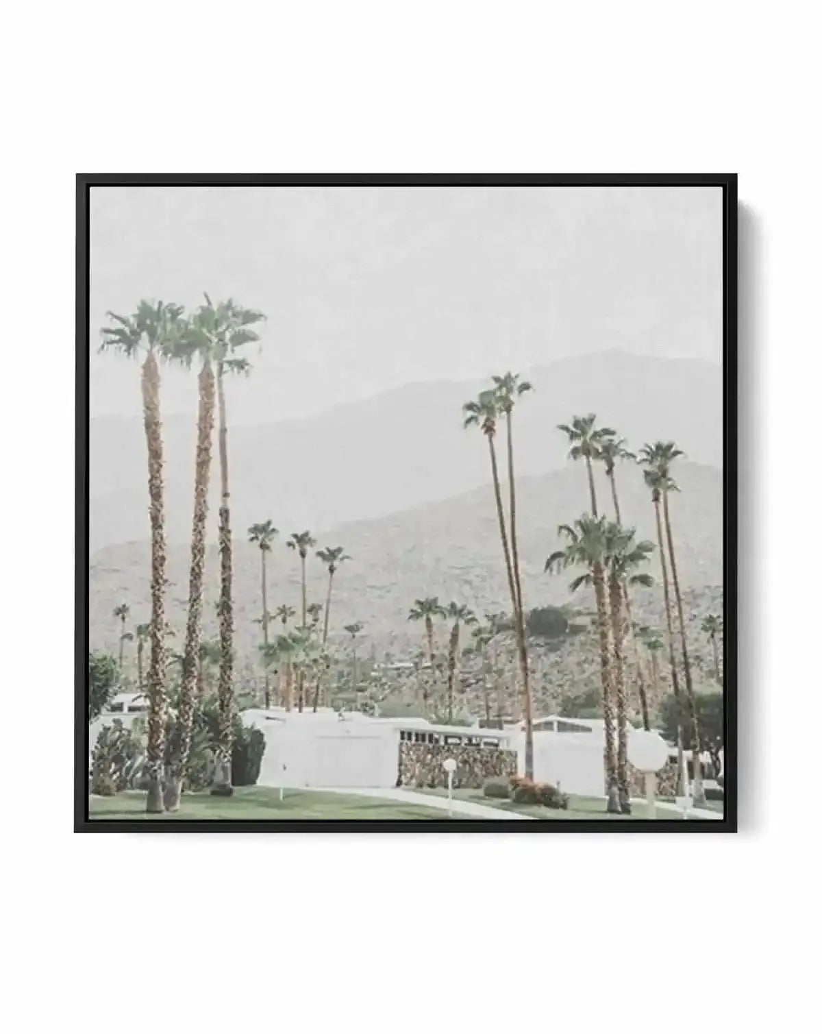 Grass Is Greener | Palm Springs SQ | Framed Canvas Art Print from Olive et Oriel where you can shop wallpaper and artworks online