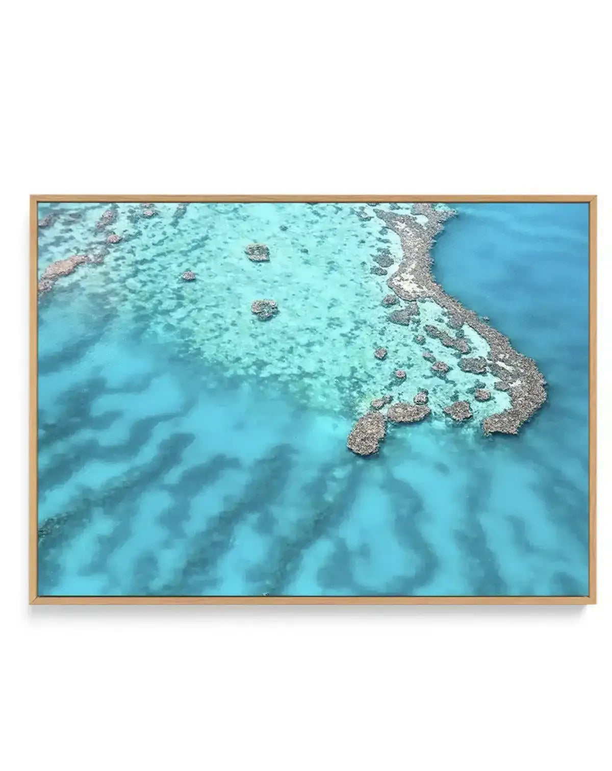 Great Barrier Reef II | Framed Canvas-CANVAS-You can shop wall art online with Olive et Oriel for everything from abstract art to fun kids wall art. Our beautiful modern art prints and canvas art are available from large canvas prints to wall art paintings and our proudly Australian artwork collection offers only the highest quality framed large wall art and canvas art Australia - You can buy fashion photography prints or Hampton print posters and paintings on canvas from Olive et Oriel and have
