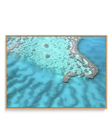 Great Barrier Reef II | Framed Canvas-CANVAS-You can shop wall art online with Olive et Oriel for everything from abstract art to fun kids wall art. Our beautiful modern art prints and canvas art are available from large canvas prints to wall art paintings and our proudly Australian artwork collection offers only the highest quality framed large wall art and canvas art Australia - You can buy fashion photography prints or Hampton print posters and paintings on canvas from Olive et Oriel and have