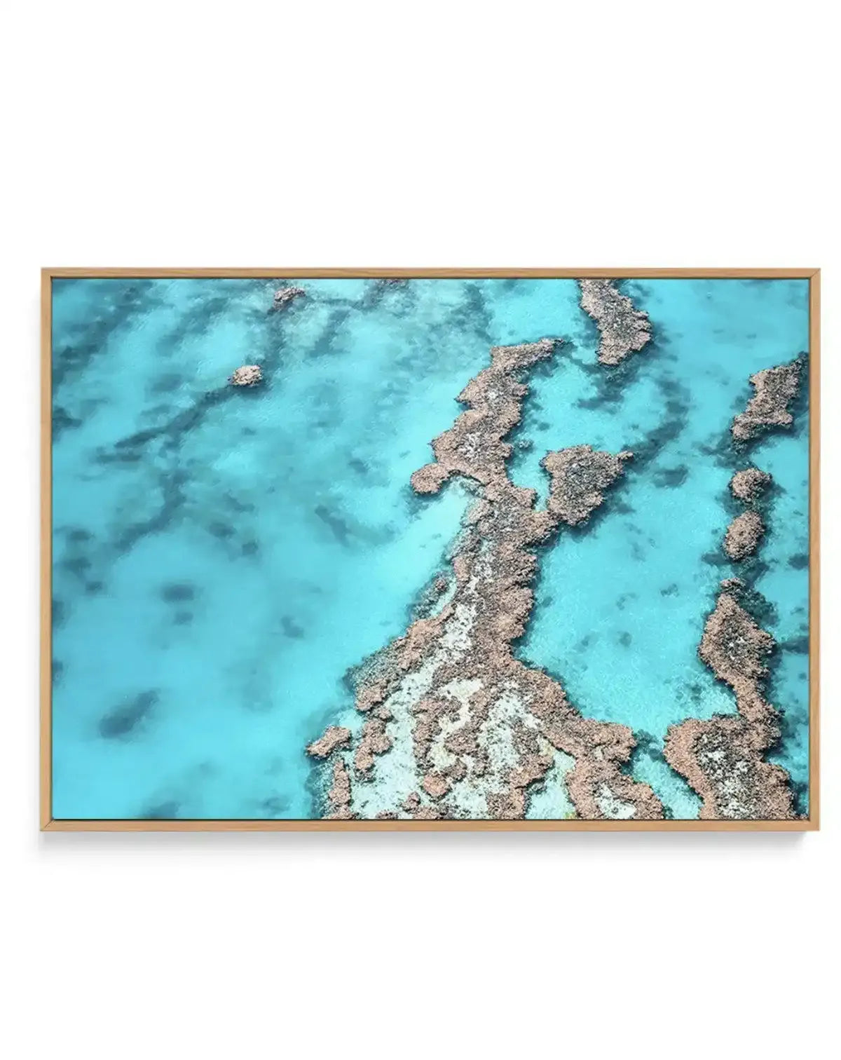 Great Barrier Reef IV | Framed Canvas-CANVAS-You can shop wall art online with Olive et Oriel for everything from abstract art to fun kids wall art. Our beautiful modern art prints and canvas art are available from large canvas prints to wall art paintings and our proudly Australian artwork collection offers only the highest quality framed large wall art and canvas art Australia - You can buy fashion photography prints or Hampton print posters and paintings on canvas from Olive et Oriel and have