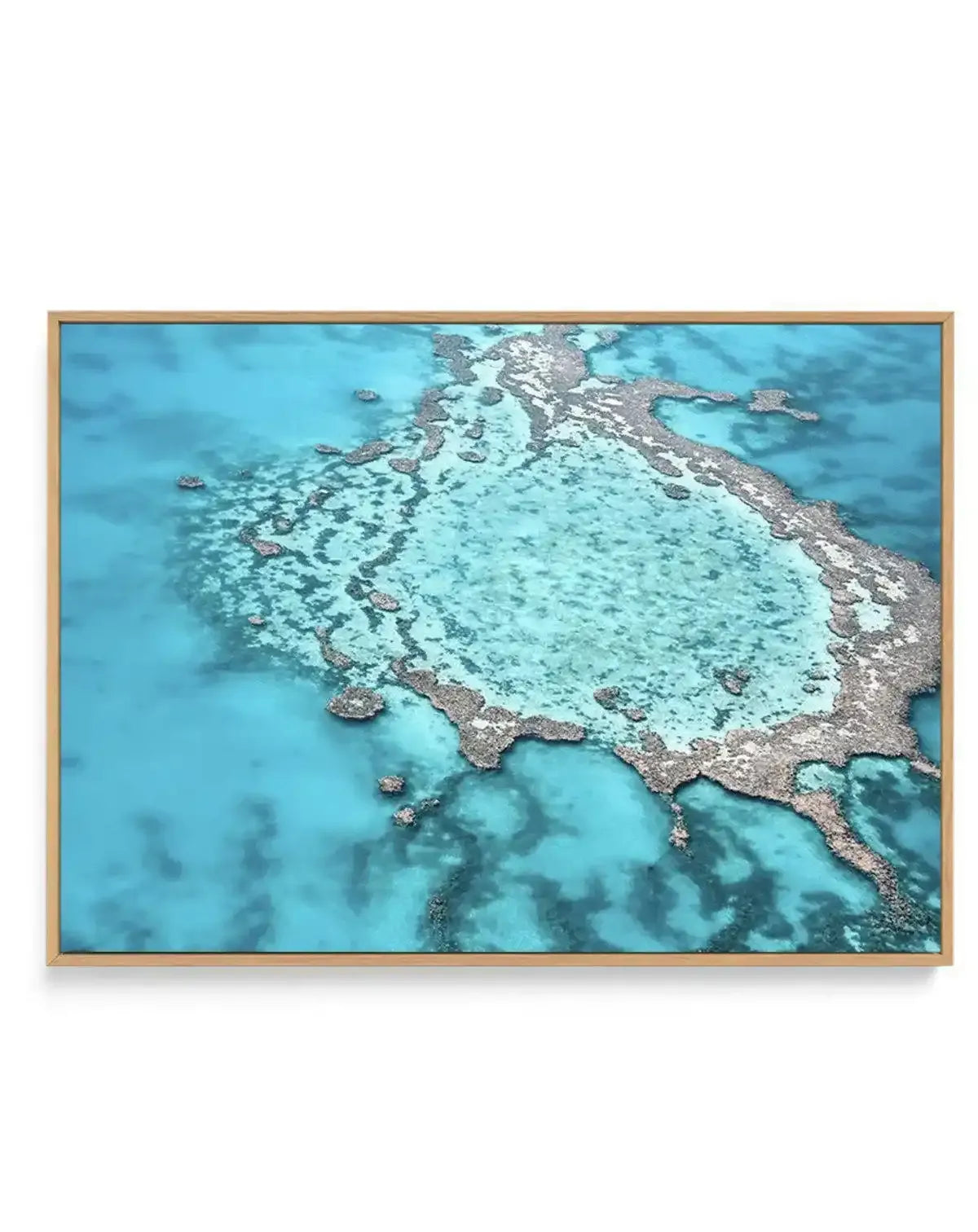 Great Barrier Reef V | Framed Canvas-CANVAS-You can shop wall art online with Olive et Oriel for everything from abstract art to fun kids wall art. Our beautiful modern art prints and canvas art are available from large canvas prints to wall art paintings and our proudly Australian artwork collection offers only the highest quality framed large wall art and canvas art Australia - You can buy fashion photography prints or Hampton print posters and paintings on canvas from Olive et Oriel and have 