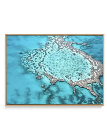 Great Barrier Reef V | Framed Canvas-CANVAS-You can shop wall art online with Olive et Oriel for everything from abstract art to fun kids wall art. Our beautiful modern art prints and canvas art are available from large canvas prints to wall art paintings and our proudly Australian artwork collection offers only the highest quality framed large wall art and canvas art Australia - You can buy fashion photography prints or Hampton print posters and paintings on canvas from Olive et Oriel and have 