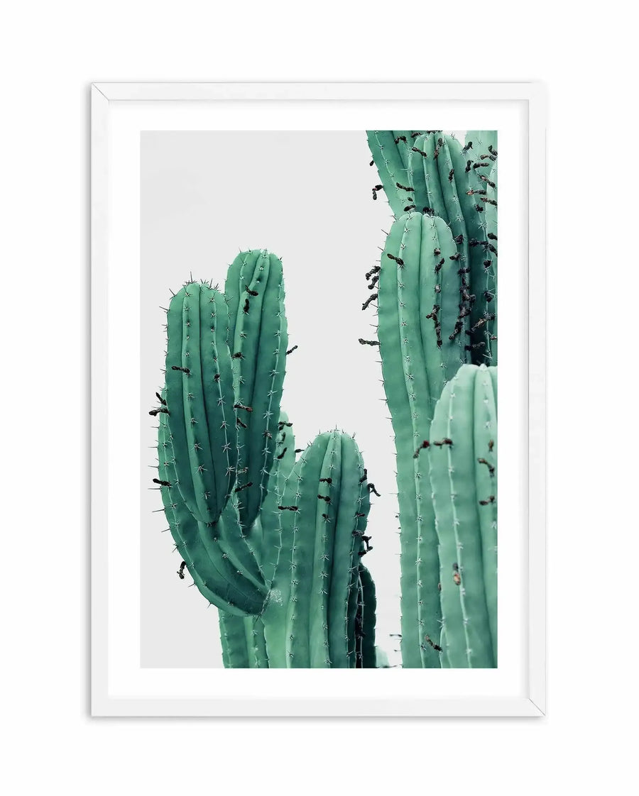 Green Cactus I Art Print framed in white wood frame with white border. The photograph features tall columnar cacti with vibrant sage green stems covered in fine white spines. Dark insects crawl across the fleshy plant surfaces. Multiple cacti of varying heights are arranged in vertical composition against a neutral light gray sky. The image captures fine botanical detail with naturalistic color and soft, overcast lighting.