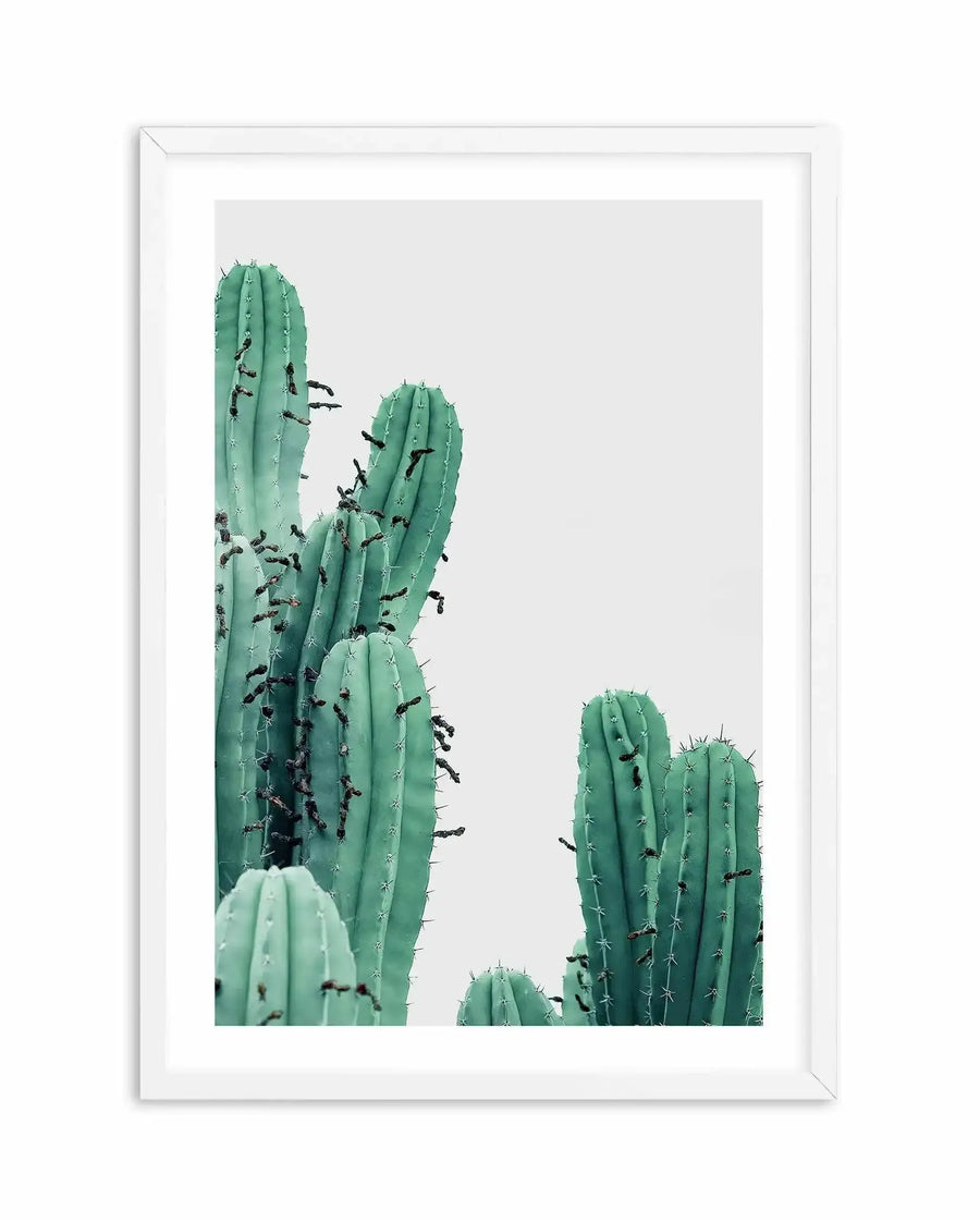 "Framed photography art print of several green cacti against a light grey background, with white frame and white border. The cacti are a muted teal-green with dark brown, dried-up flowers or fruit clinging to their spines, and are arranged in a dynamic composition with varying heights and depths."