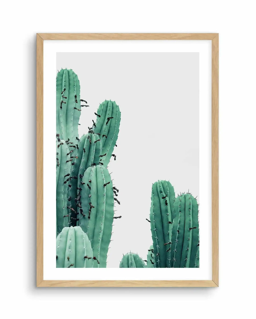 Framed art print featuring a minimalist photograph of green saguaro cacti against a light gray background. Three tall columnar cacti of varying heights dominate the composition, displaying pale sage and medium green tones with visible spines and dark brown segmentation marks across their surfaces. The natural photographic style captures fine botanical detail. The print is mounted in a light wood frame with a white border.