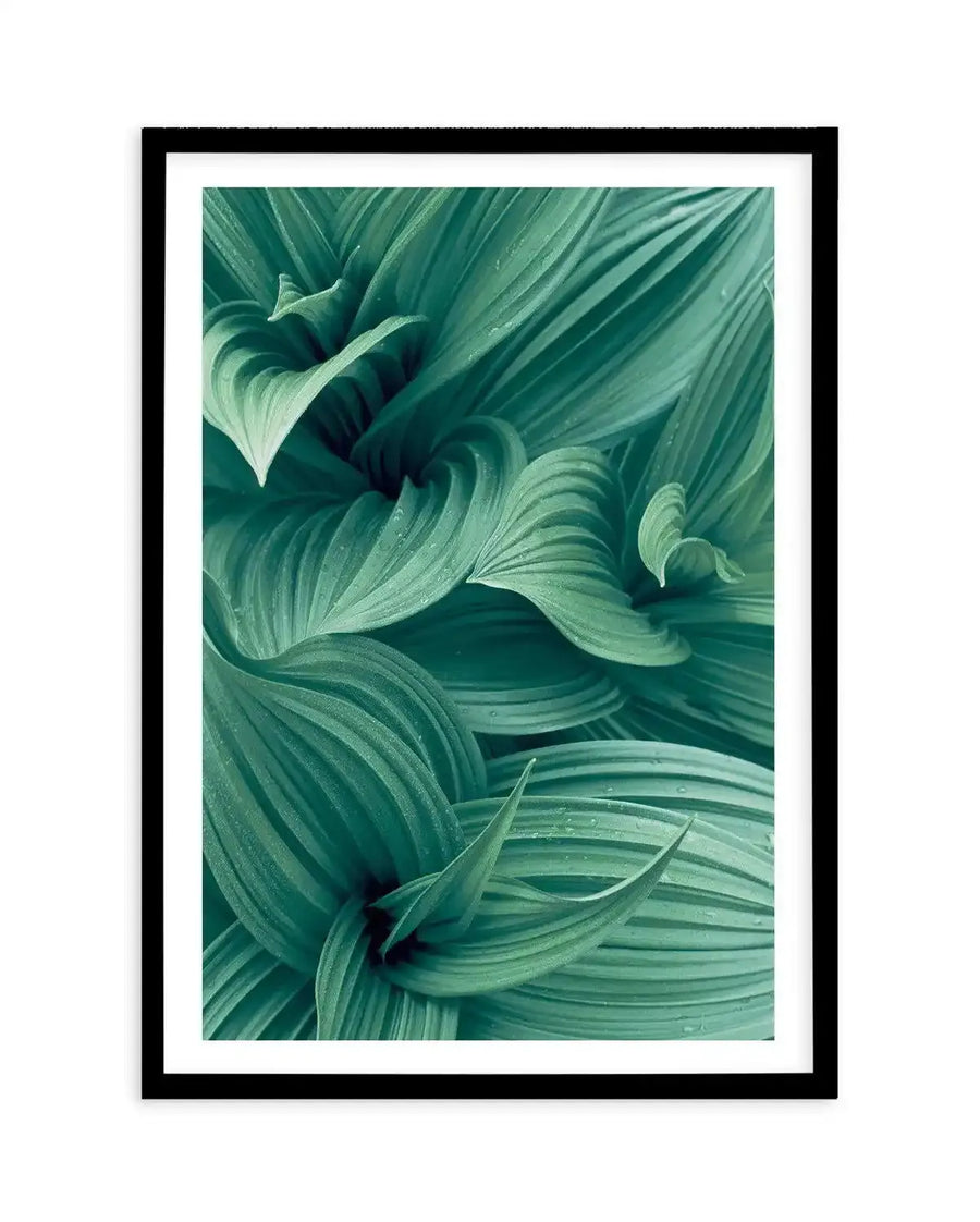 Framed photography art print featuring a close-up of lush green leaves with visible water droplets, displayed in a black frame with white border. The leaves are a deep teal-green, with prominent parallel veins and a natural, organic texture, creating a dynamic, swirling composition.