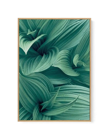 Framed canvas art print featuring a close-up botanical illustration of overlapping green leaves in varying shades of sage, emerald, and seafoam green. The leaves display detailed vein textures and soft highlights creating dimension and depth. The composition fills the entire canvas with an organic, abstract arrangement of curved leaf forms. The canvas is mounted in a natural wood frame with a white border.