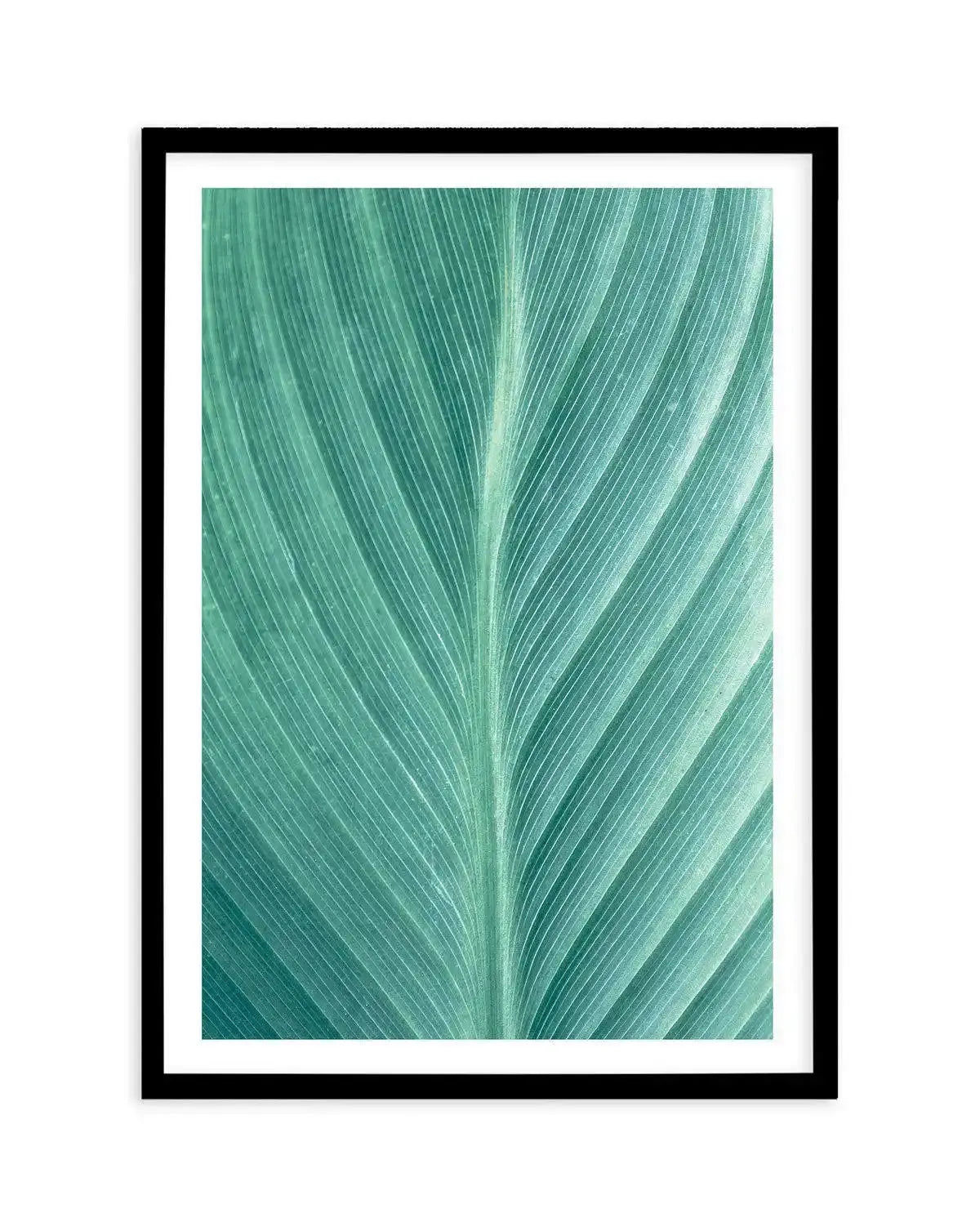 Green Leaves II Art Print-PRINT-Olive et Oriel-Olive et Oriel-A5 | 5.8" x 8.3" | 14.8 x 21cm-Black-With White Border-Buy-Australian-Art-Prints-Online-with-Olive-et-Oriel-Your-Artwork-Specialists-Austrailia-Decorate-With-Coastal-Photo-Wall-Art-Prints-From-Our-Beach-House-Artwork-Collection-Fine-Poster-and-Framed-Artwork