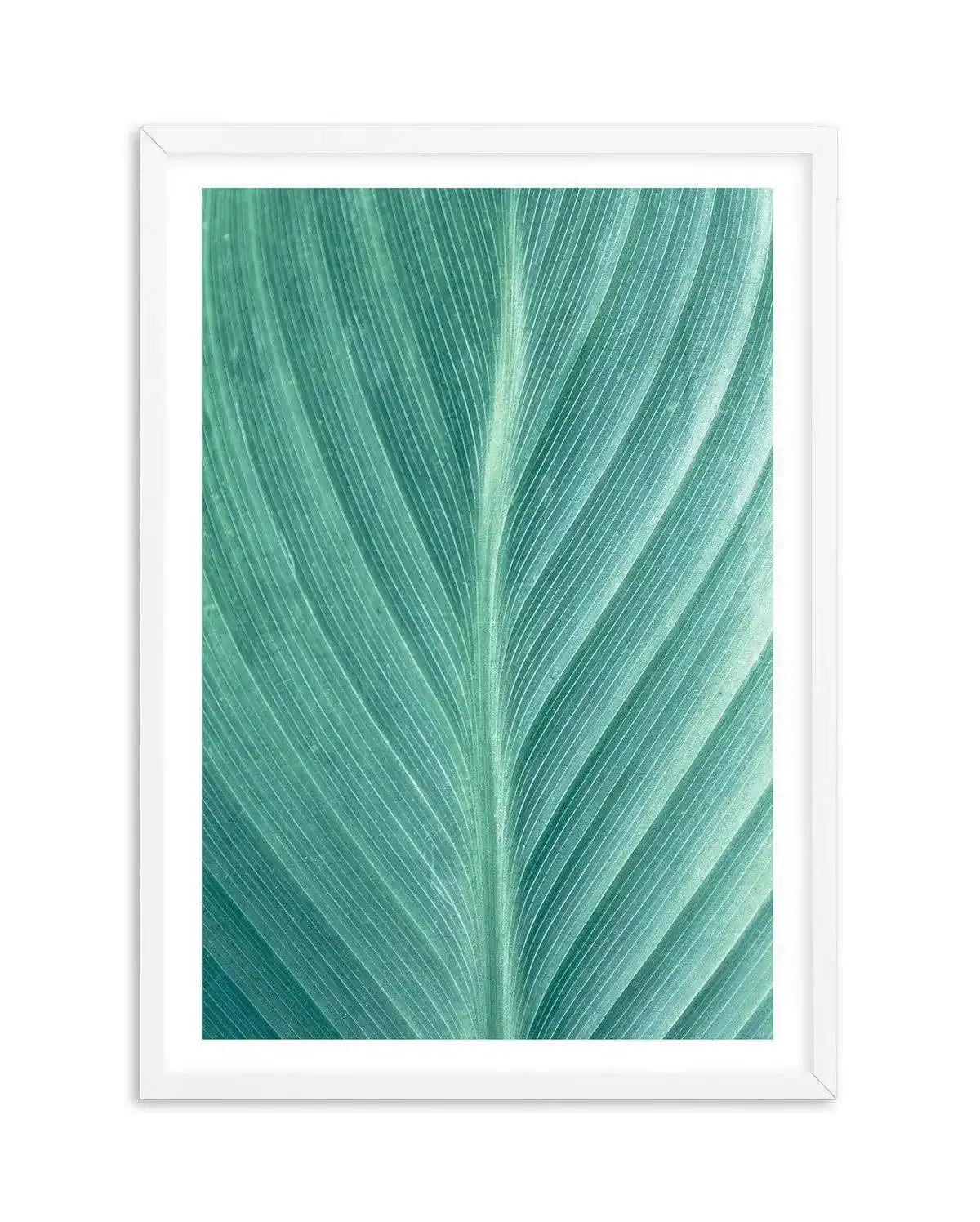 Green Leaves II Art Print-PRINT-Olive et Oriel-Olive et Oriel-A5 | 5.8" x 8.3" | 14.8 x 21cm-White-With White Border-Buy-Australian-Art-Prints-Online-with-Olive-et-Oriel-Your-Artwork-Specialists-Austrailia-Decorate-With-Coastal-Photo-Wall-Art-Prints-From-Our-Beach-House-Artwork-Collection-Fine-Poster-and-Framed-Artwork
