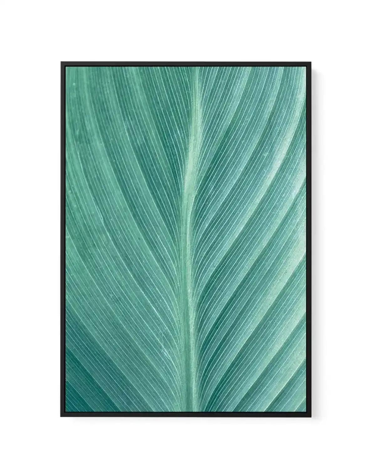 Green Leaves II | Framed Canvas-CANVAS-You can shop wall art online with Olive et Oriel for everything from abstract art to fun kids wall art. Our beautiful modern art prints and canvas art are available from large canvas prints to wall art paintings and our proudly Australian artwork collection offers only the highest quality framed large wall art and canvas art Australia - You can buy fashion photography prints or Hampton print posters and paintings on canvas from Olive et Oriel and have them 