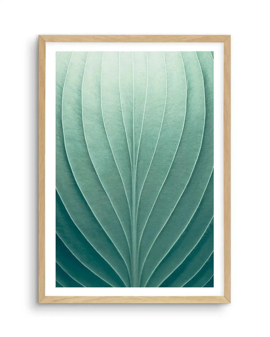 Framed photography art print featuring a close-up of a green leaf with prominent parallel veins, displayed in a natural oak frame with white border. The leaf transitions from a pale mint green at the top to a deeper teal green at the bottom, highlighting its natural texture and form.