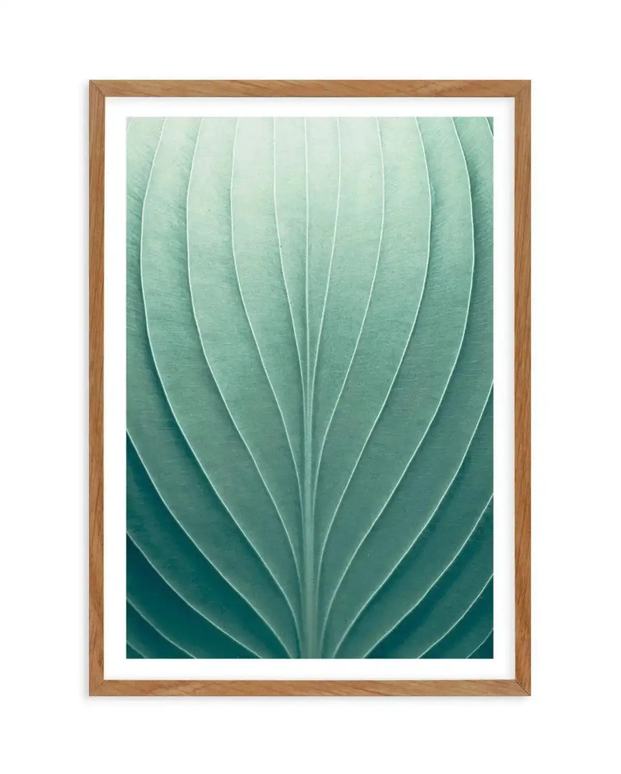 Framed art print featuring a close-up photograph of a green leaf with prominent parallel veins, printed on fine art paper and displayed in a natural oak frame with white border. The leaf transitions from a light, almost mint green at the top to a deeper, more saturated teal green at the bottom, highlighting the natural texture and subtle curves of the leaf's surface.