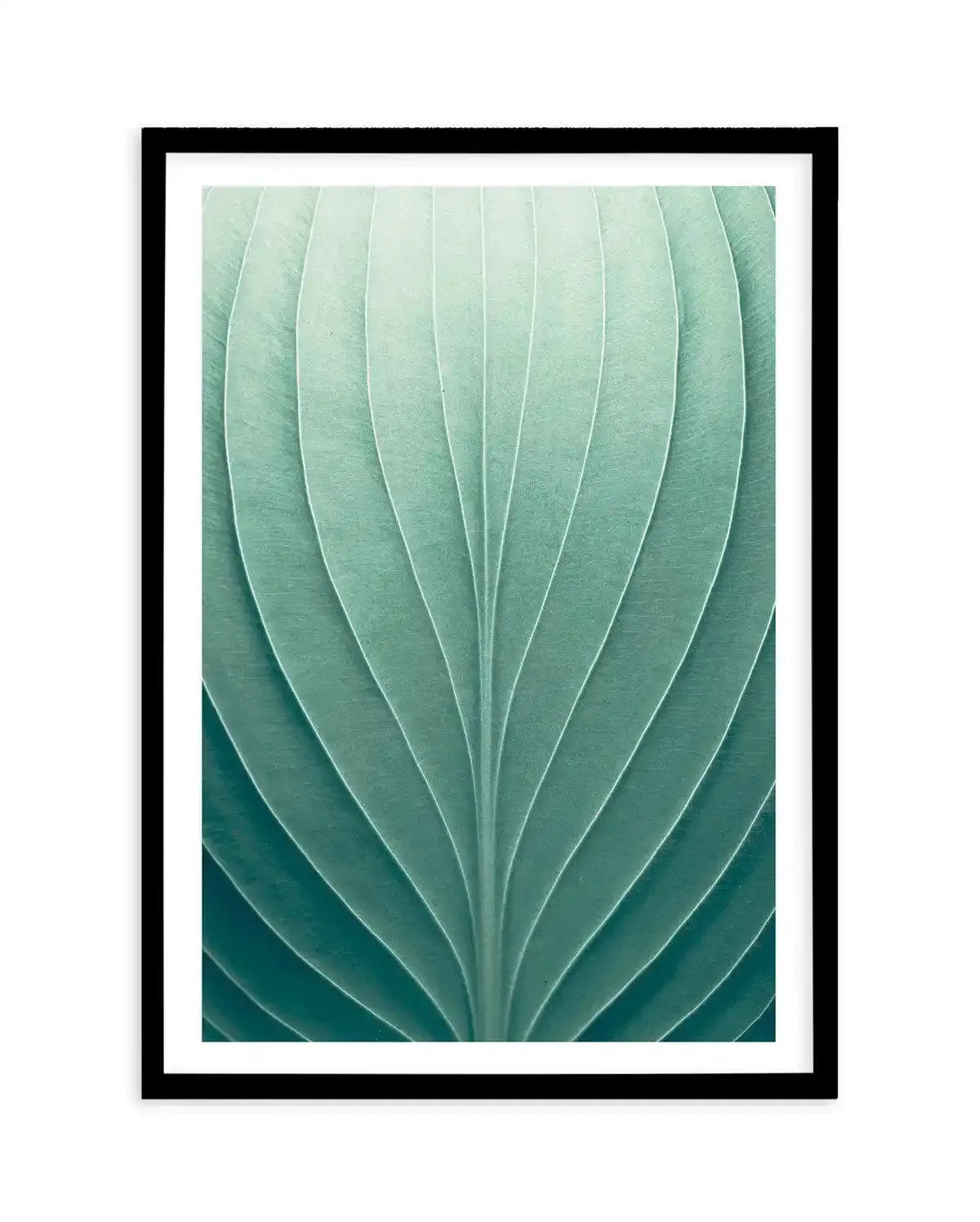 Green Leaves III Art Print-PRINT-Olive et Oriel-Olive et Oriel-A5 | 5.8" x 8.3" | 14.8 x 21cm-Black-With White Border-Buy-Australian-Art-Prints-Online-with-Olive-et-Oriel-Your-Artwork-Specialists-Austrailia-Decorate-With-Coastal-Photo-Wall-Art-Prints-From-Our-Beach-House-Artwork-Collection-Fine-Poster-and-Framed-Artwork