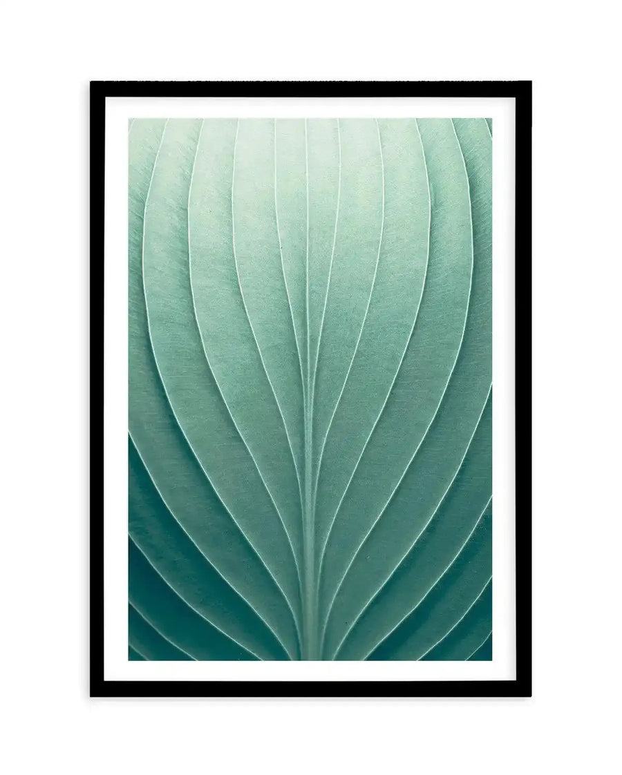 Product shot art print featuring a close-up photograph of a hosta leaf in a vibrant teal green, with prominent parallel veins creating a symmetrical, fan-like pattern, displayed in a black frame with white border.