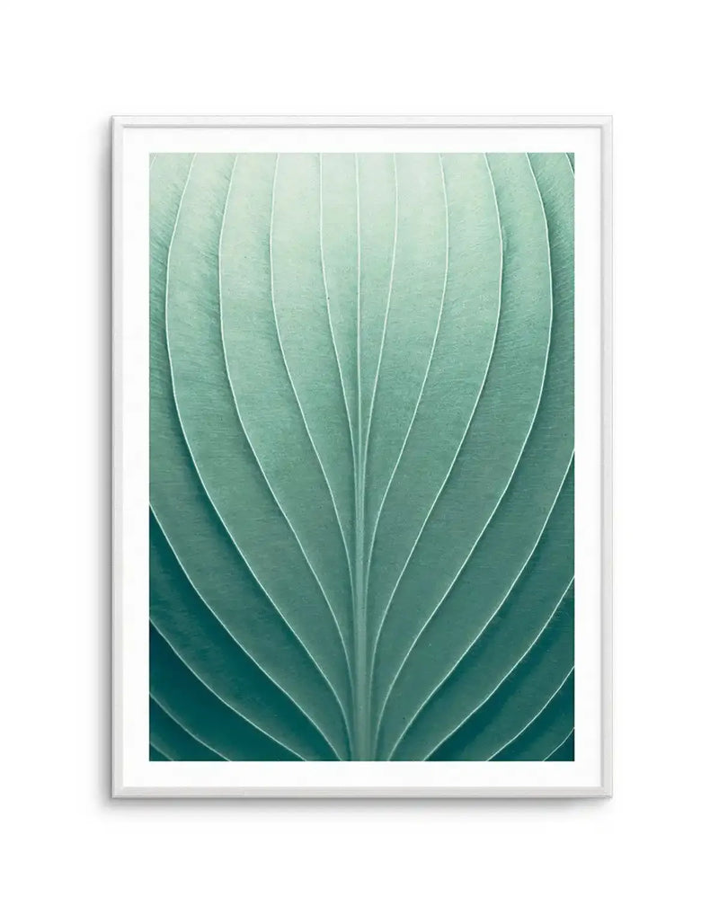 Framed photographic art print of a close-up green leaf with prominent parallel veins, printed on fine art paper and displayed in a white frame with white border. The leaf transitions from a lighter, almost mint green at the top to a darker, deep teal green at the bottom.