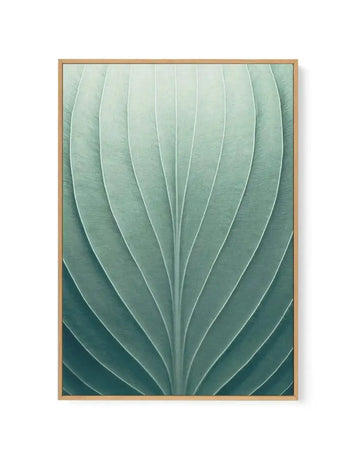 Framed canvas art print featuring a close-up view of overlapping green leaves with prominent white veins radiating outward. The composition displays a gradient from pale sage green at the top to deeper teal and forest green tones at the bottom, creating depth and dimension. The leaves have a soft, watercolor-like quality with subtle texture and natural variation in color. The artwork is housed in a natural wood frame with a white border, displayed against a plain background.