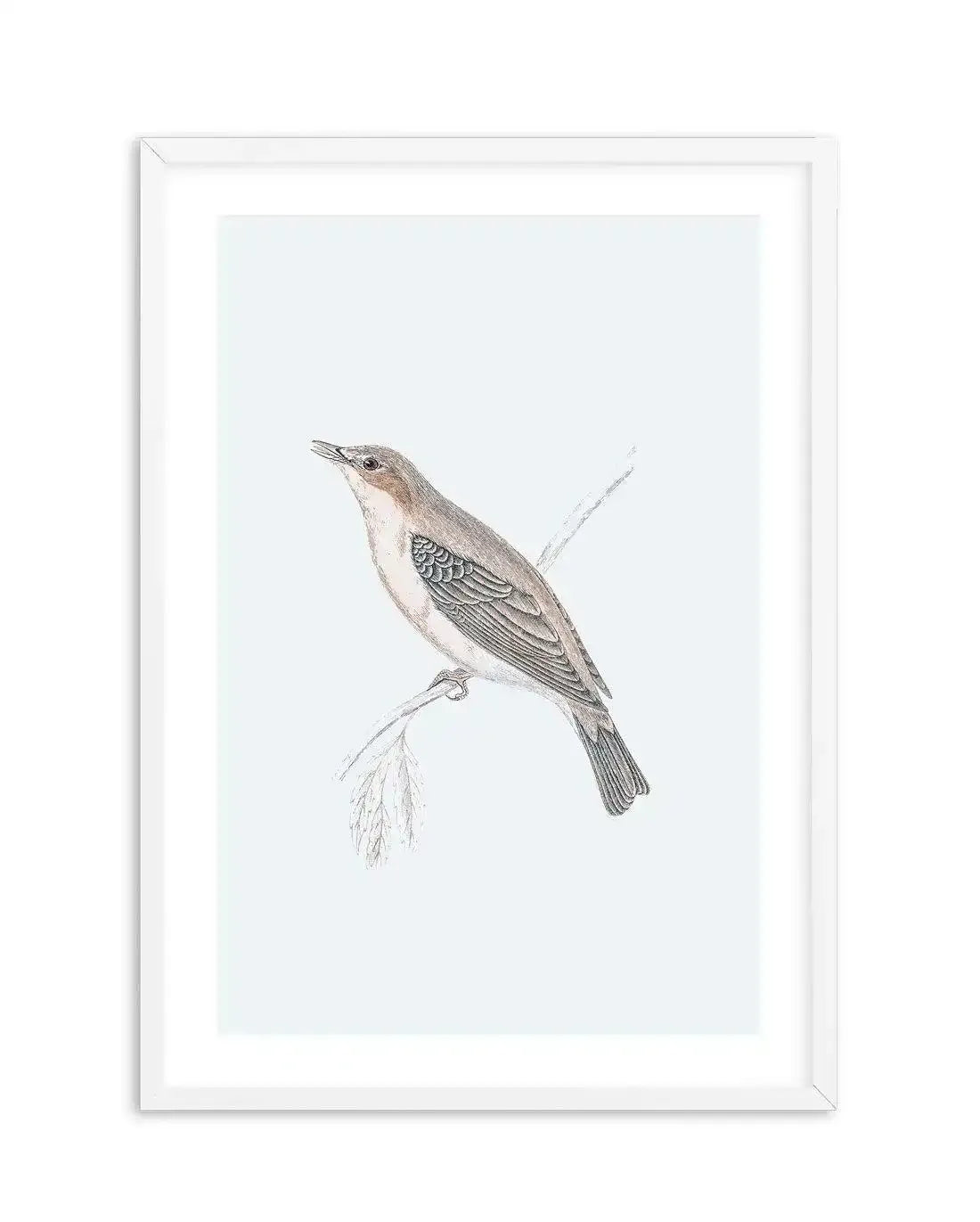 Hamptons Bird II Art Print-PRINT-Olive et Oriel-Olive et Oriel-A5 | 5.8" x 8.3" | 14.8 x 21cm-White-With White Border-Buy-Australian-Art-Prints-Online-with-Olive-et-Oriel-Your-Artwork-Specialists-Austrailia-Decorate-With-Coastal-Photo-Wall-Art-Prints-From-Our-Beach-House-Artwork-Collection-Fine-Poster-and-Framed-Artwork