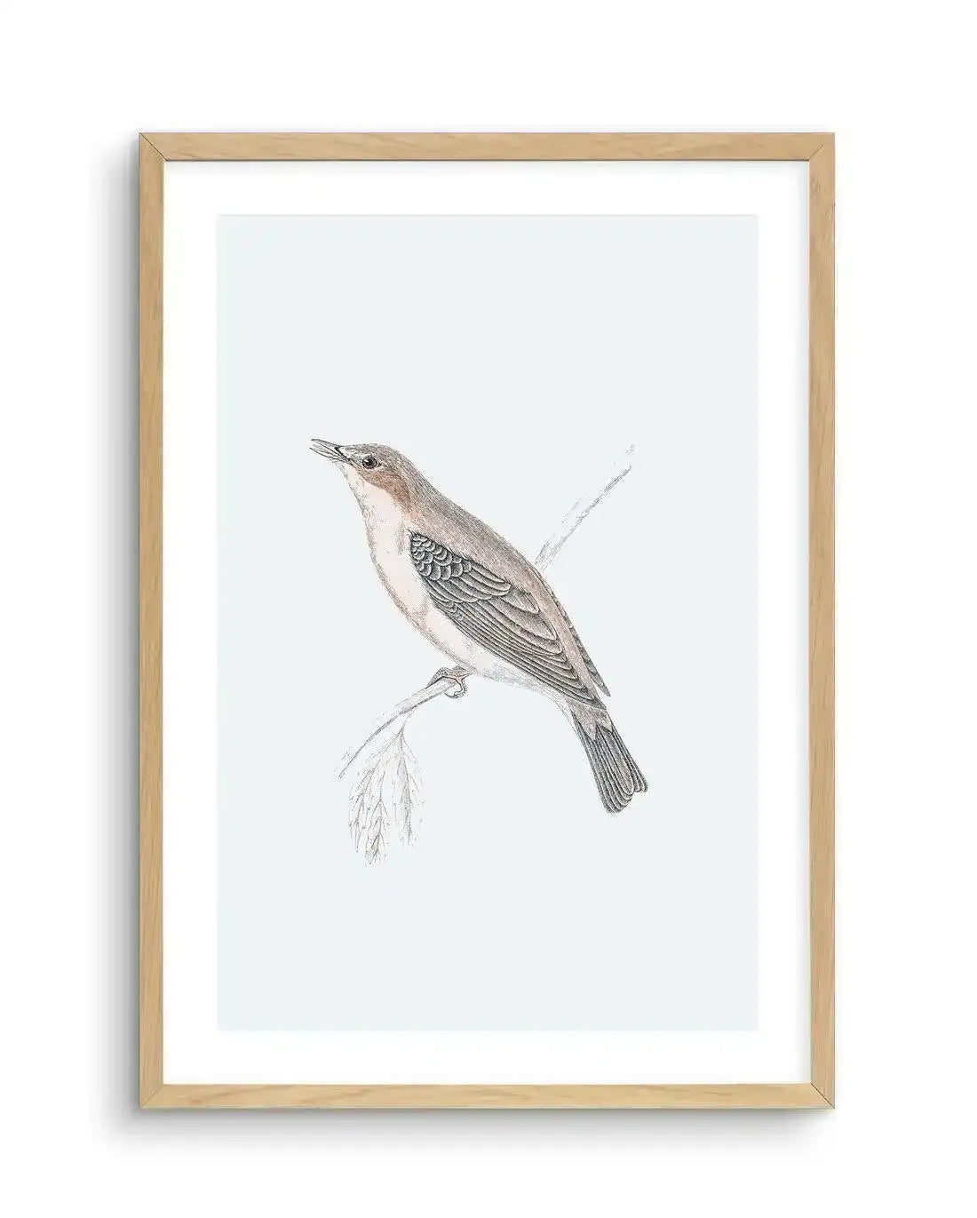 Hamptons Bird II Art Print-PRINT-Olive et Oriel-Olive et Oriel-A5 | 5.8" x 8.3" | 14.8 x 21cm-Oak-With White Border-Buy-Australian-Art-Prints-Online-with-Olive-et-Oriel-Your-Artwork-Specialists-Austrailia-Decorate-With-Coastal-Photo-Wall-Art-Prints-From-Our-Beach-House-Artwork-Collection-Fine-Poster-and-Framed-Artwork