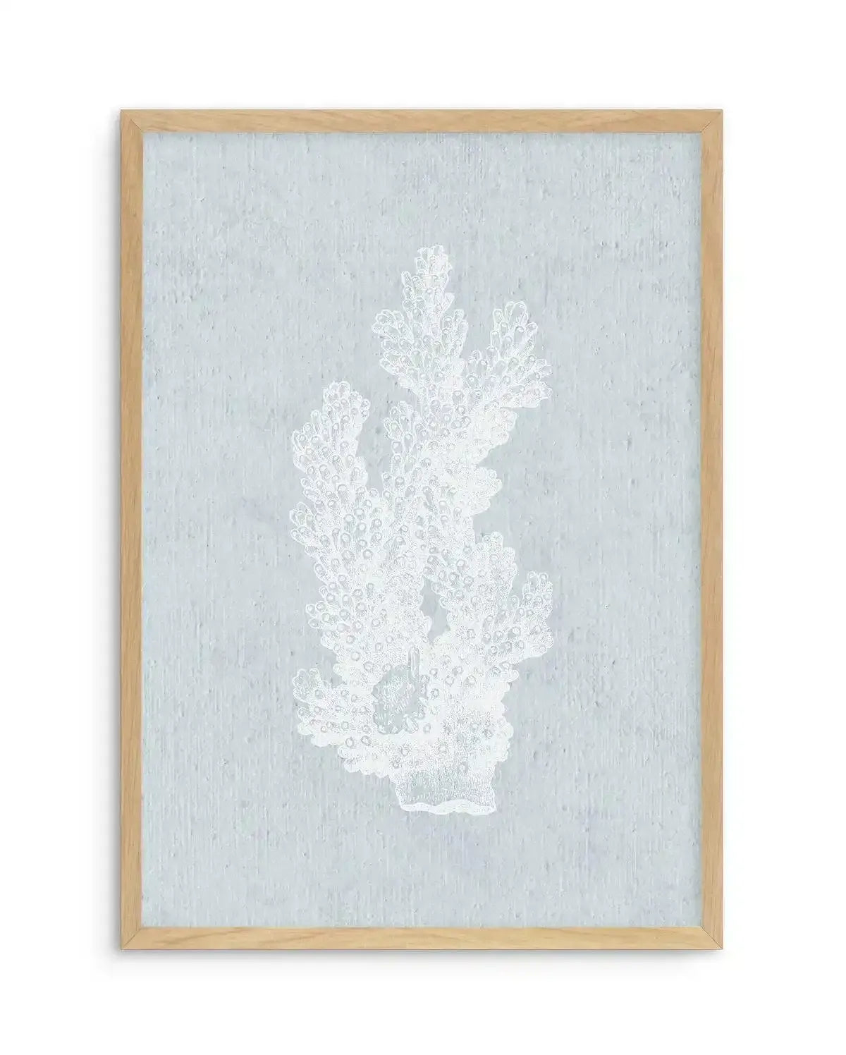 Hamptons Coral I White Art Print-PRINT-Olive et Oriel-Olive et Oriel-A5 | 5.8" x 8.3" | 14.8 x 21cm-Oak-With White Border-Buy-Australian-Art-Prints-Online-with-Olive-et-Oriel-Your-Artwork-Specialists-Austrailia-Decorate-With-Coastal-Photo-Wall-Art-Prints-From-Our-Beach-House-Artwork-Collection-Fine-Poster-and-Framed-Artwork