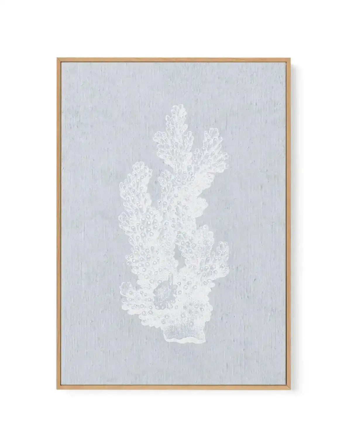 Hamptons Coral I White | Framed Canvas-CANVAS-You can shop wall art online with Olive et Oriel for everything from abstract art to fun kids wall art. Our beautiful modern art prints and canvas art are available from large canvas prints to wall art paintings and our proudly Australian artwork collection offers only the highest quality framed large wall art and canvas art Australia - You can buy fashion photography prints or Hampton print posters and paintings on canvas from Olive et Oriel and hav