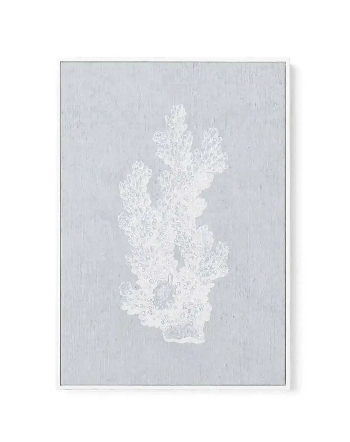 Hamptons Coral I White | Framed Canvas-CANVAS-You can shop wall art online with Olive et Oriel for everything from abstract art to fun kids wall art. Our beautiful modern art prints and canvas art are available from large canvas prints to wall art paintings and our proudly Australian artwork collection offers only the highest quality framed large wall art and canvas art Australia - You can buy fashion photography prints or Hampton print posters and paintings on canvas from Olive et Oriel and hav