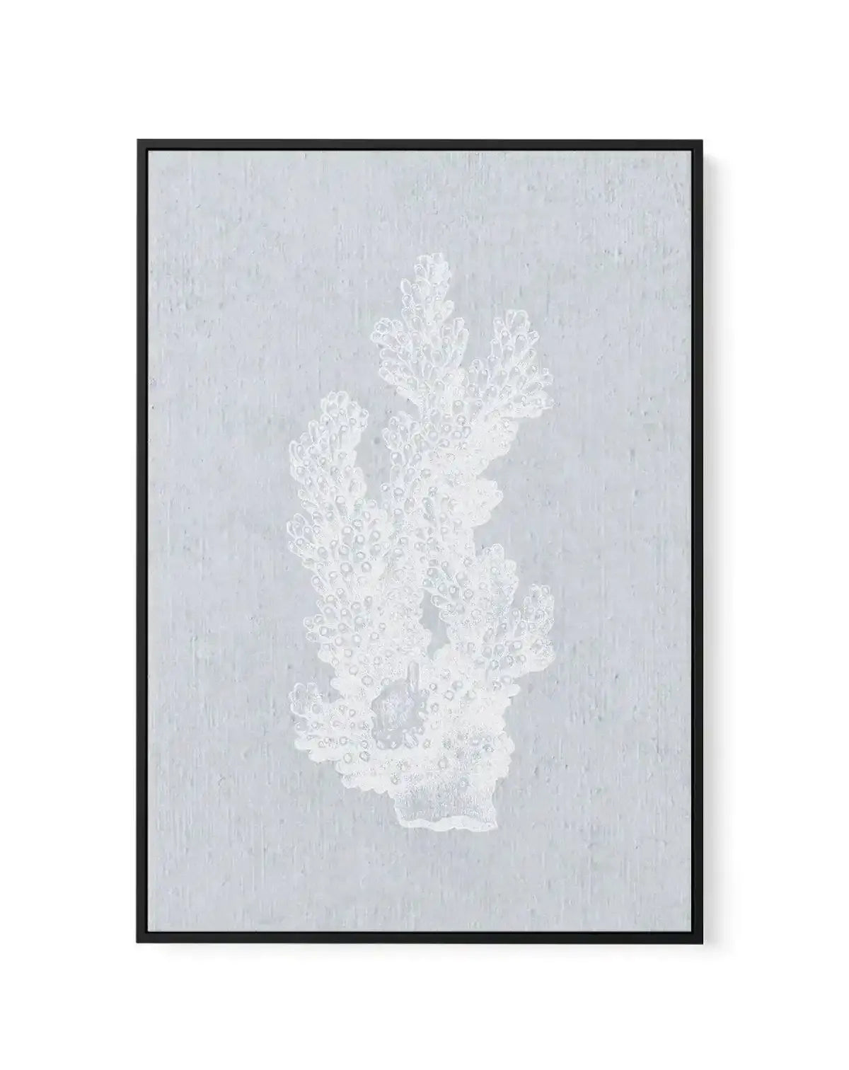 Hamptons Coral I White | Framed Canvas-CANVAS-You can shop wall art online with Olive et Oriel for everything from abstract art to fun kids wall art. Our beautiful modern art prints and canvas art are available from large canvas prints to wall art paintings and our proudly Australian artwork collection offers only the highest quality framed large wall art and canvas art Australia - You can buy fashion photography prints or Hampton print posters and paintings on canvas from Olive et Oriel and hav