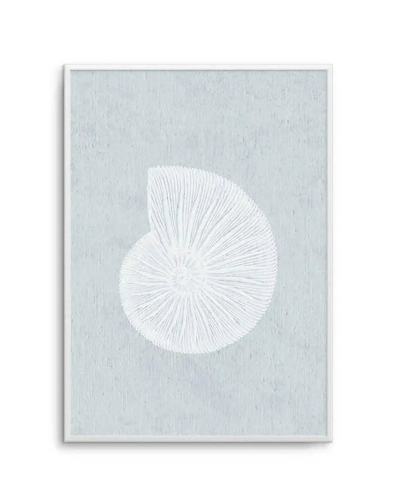 Framed art print featuring a white radiating circular design resembling a nautilus shell or sea urchin against a soft, muted seafoam blue-green background with subtle texture. The white form displays fine linear details radiating from the center. White wooden frame with white border. Vertical rectangular composition in the Hamptons Seaside Collection II style.
