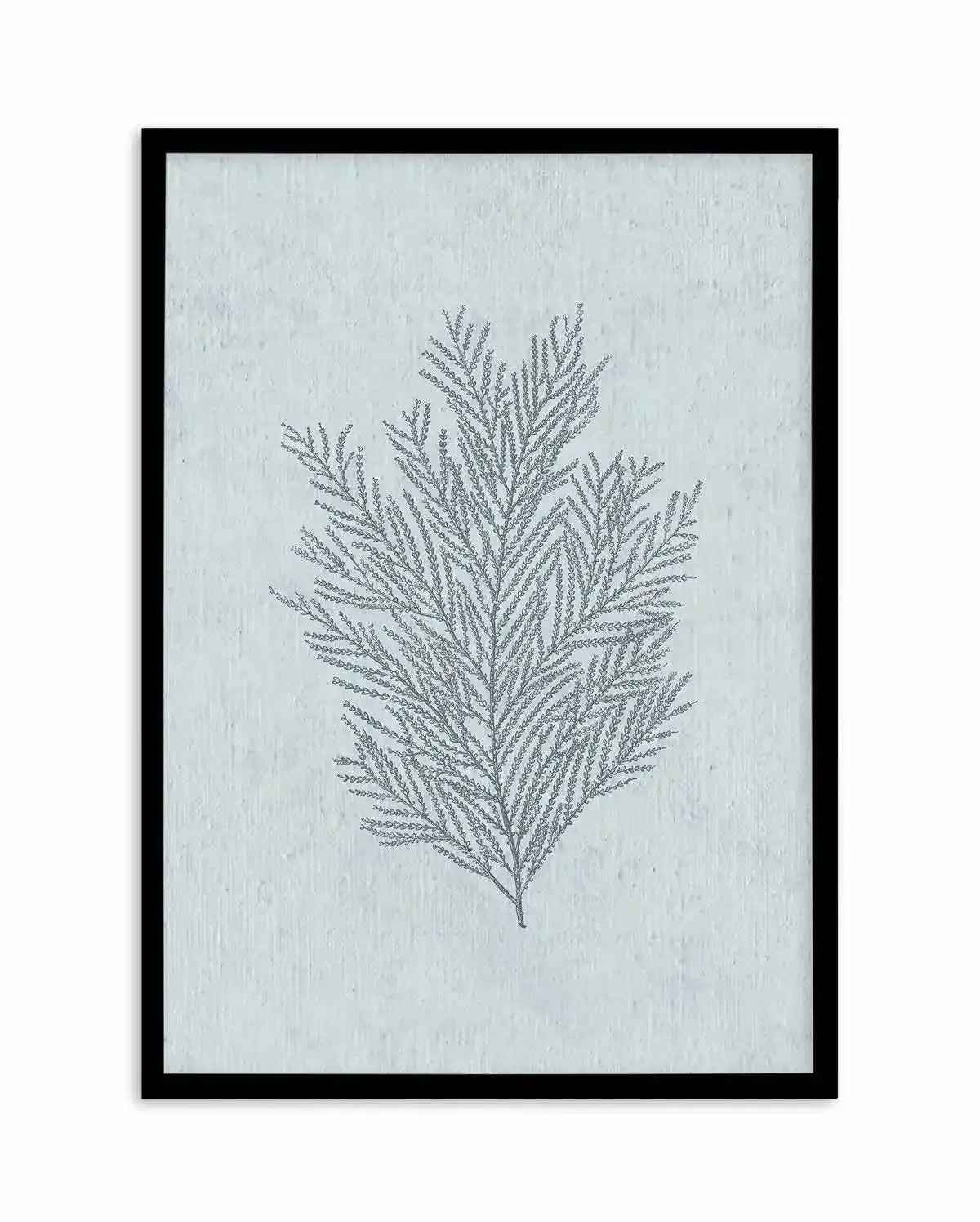 Hamptons Seaside Collection III Blue Art Print-PRINT-Olive et Oriel-Olive et Oriel-A5 | 5.8" x 8.3" | 14.8 x 21cm-Black-With White Border-Buy-Australian-Art-Prints-Online-with-Olive-et-Oriel-Your-Artwork-Specialists-Austrailia-Decorate-With-Coastal-Photo-Wall-Art-Prints-From-Our-Beach-House-Artwork-Collection-Fine-Poster-and-Framed-Artwork