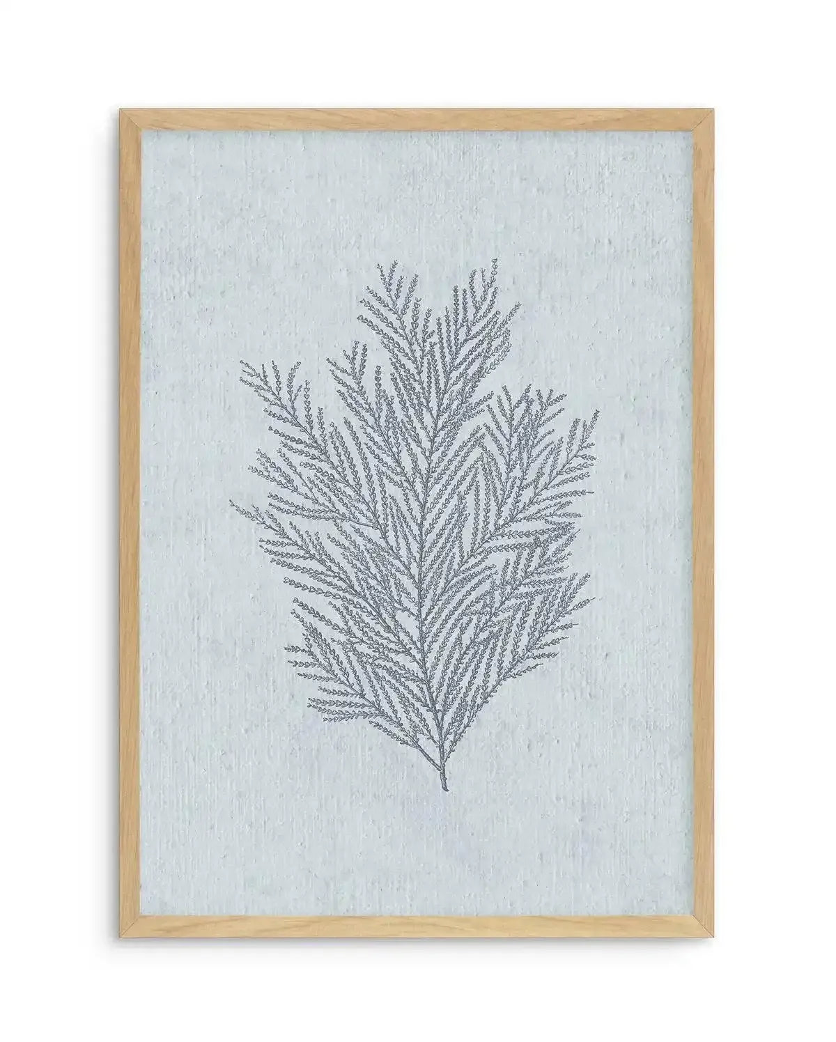 Hamptons Seaside Collection III Blue Art Print-PRINT-Olive et Oriel-Olive et Oriel-A5 | 5.8" x 8.3" | 14.8 x 21cm-Oak-With White Border-Buy-Australian-Art-Prints-Online-with-Olive-et-Oriel-Your-Artwork-Specialists-Austrailia-Decorate-With-Coastal-Photo-Wall-Art-Prints-From-Our-Beach-House-Artwork-Collection-Fine-Poster-and-Framed-Artwork