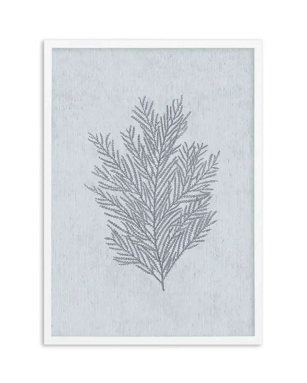 Hamptons Seaside Collection III Blue Art Print-PRINT-Olive et Oriel-Olive et Oriel-A5 | 5.8" x 8.3" | 14.8 x 21cm-White-With White Border-Buy-Australian-Art-Prints-Online-with-Olive-et-Oriel-Your-Artwork-Specialists-Austrailia-Decorate-With-Coastal-Photo-Wall-Art-Prints-From-Our-Beach-House-Artwork-Collection-Fine-Poster-and-Framed-Artwork