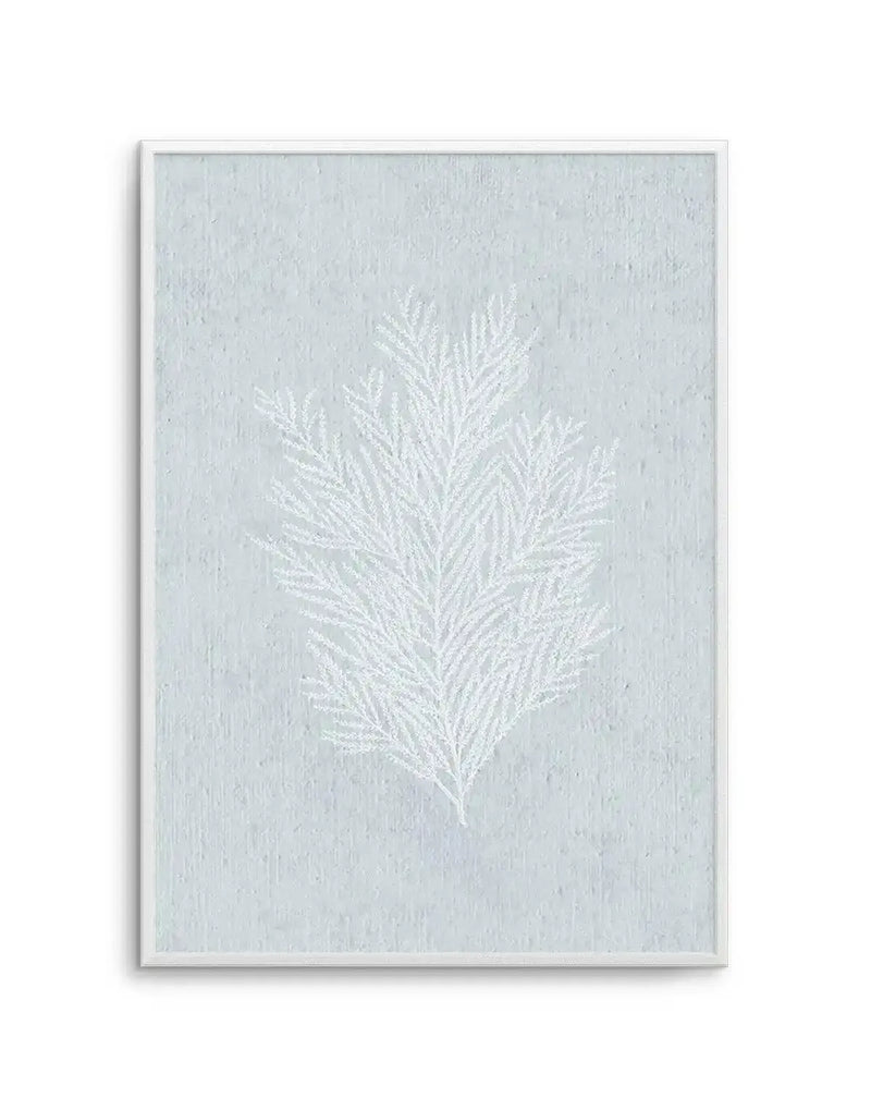 Hamptons Seaside Collection III white art print featuring a delicate fern frond rendered in white paint against a soft sage green textured background. The botanical illustration is centered on the canvas with minimalist composition. The print is displayed in a white wooden frame with a subtle white border, creating a clean, coastal aesthetic.