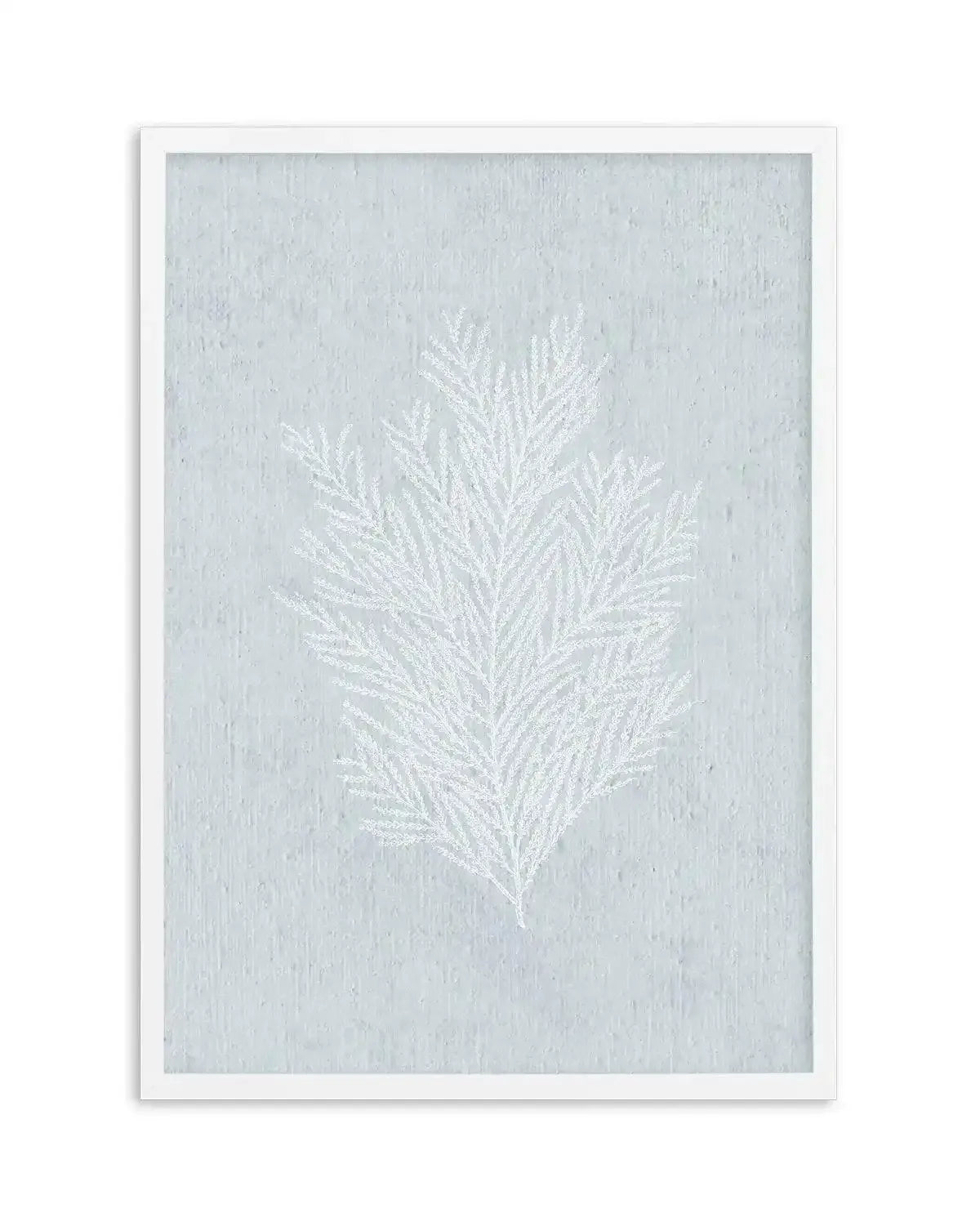 Hamptons Seaside Collection III White Art Print-PRINT-Olive et Oriel-Olive et Oriel-A5 | 5.8" x 8.3" | 14.8 x 21cm-White-With White Border-Buy-Australian-Art-Prints-Online-with-Olive-et-Oriel-Your-Artwork-Specialists-Austrailia-Decorate-With-Coastal-Photo-Wall-Art-Prints-From-Our-Beach-House-Artwork-Collection-Fine-Poster-and-Framed-Artwork