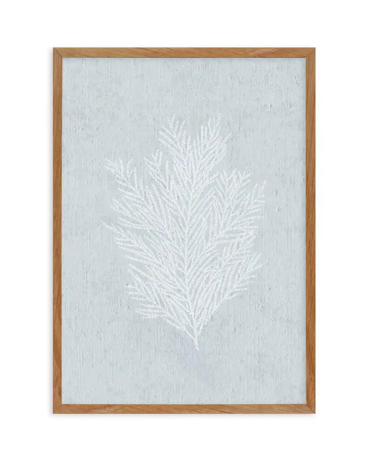 Hamptons Seaside Collection III White Art Print-PRINT-Olive et Oriel-Olive et Oriel-Buy-Australian-Art-Prints-Online-with-Olive-et-Oriel-Your-Artwork-Specialists-Austrailia-Decorate-With-Coastal-Photo-Wall-Art-Prints-From-Our-Beach-House-Artwork-Collection-Fine-Poster-and-Framed-Artwork