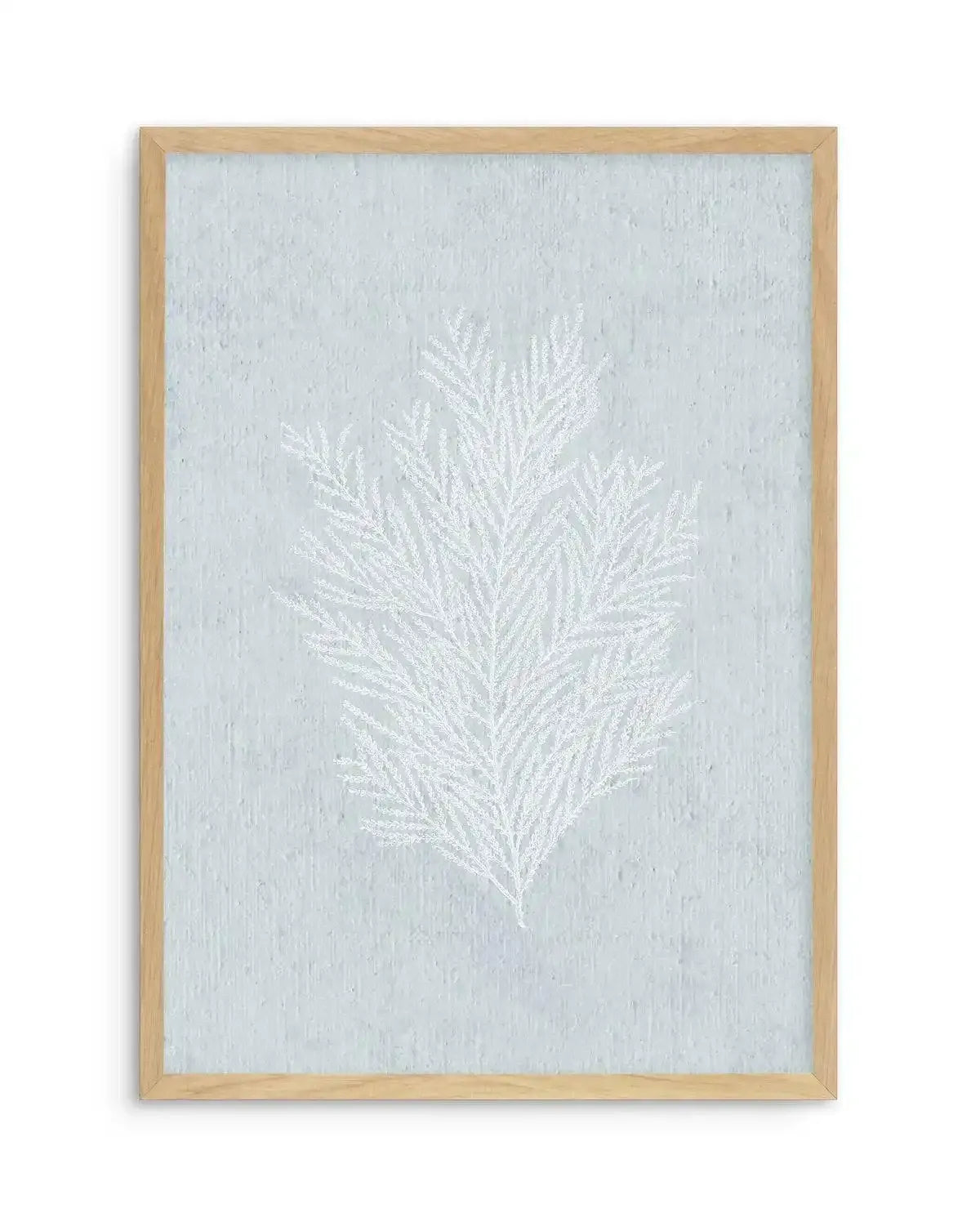 Hamptons Seaside Collection III White Art Print-PRINT-Olive et Oriel-Olive et Oriel-A5 | 5.8" x 8.3" | 14.8 x 21cm-Oak-With White Border-Buy-Australian-Art-Prints-Online-with-Olive-et-Oriel-Your-Artwork-Specialists-Austrailia-Decorate-With-Coastal-Photo-Wall-Art-Prints-From-Our-Beach-House-Artwork-Collection-Fine-Poster-and-Framed-Artwork