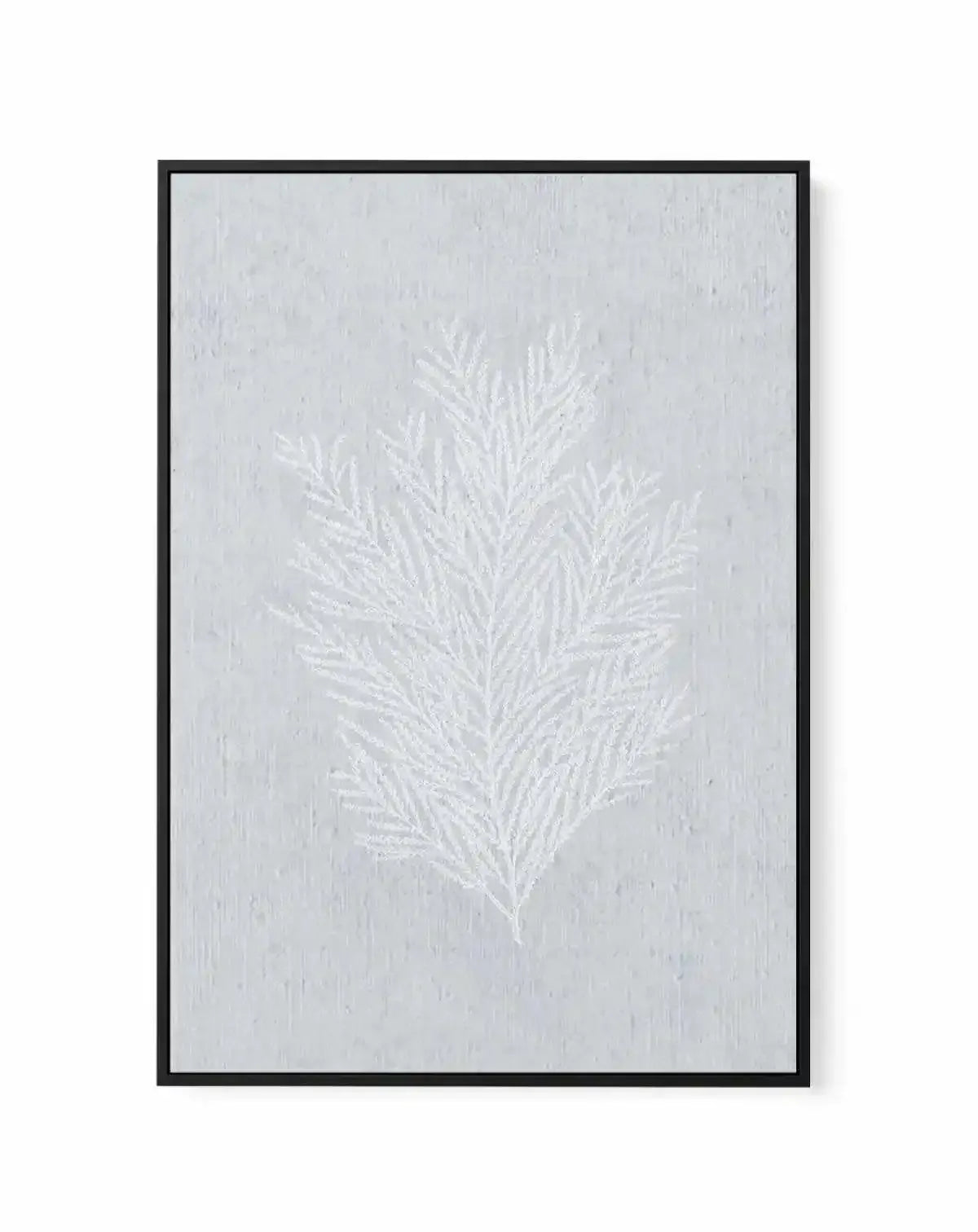 Hamptons Seaside Collection III White | Framed Canvas-CANVAS-You can shop wall art online with Olive et Oriel for everything from abstract art to fun kids wall art. Our beautiful modern art prints and canvas art are available from large canvas prints to wall art paintings and our proudly Australian artwork collection offers only the highest quality framed large wall art and canvas art Australia - You can buy fashion photography prints or Hampton print posters and paintings on canvas from Olive e