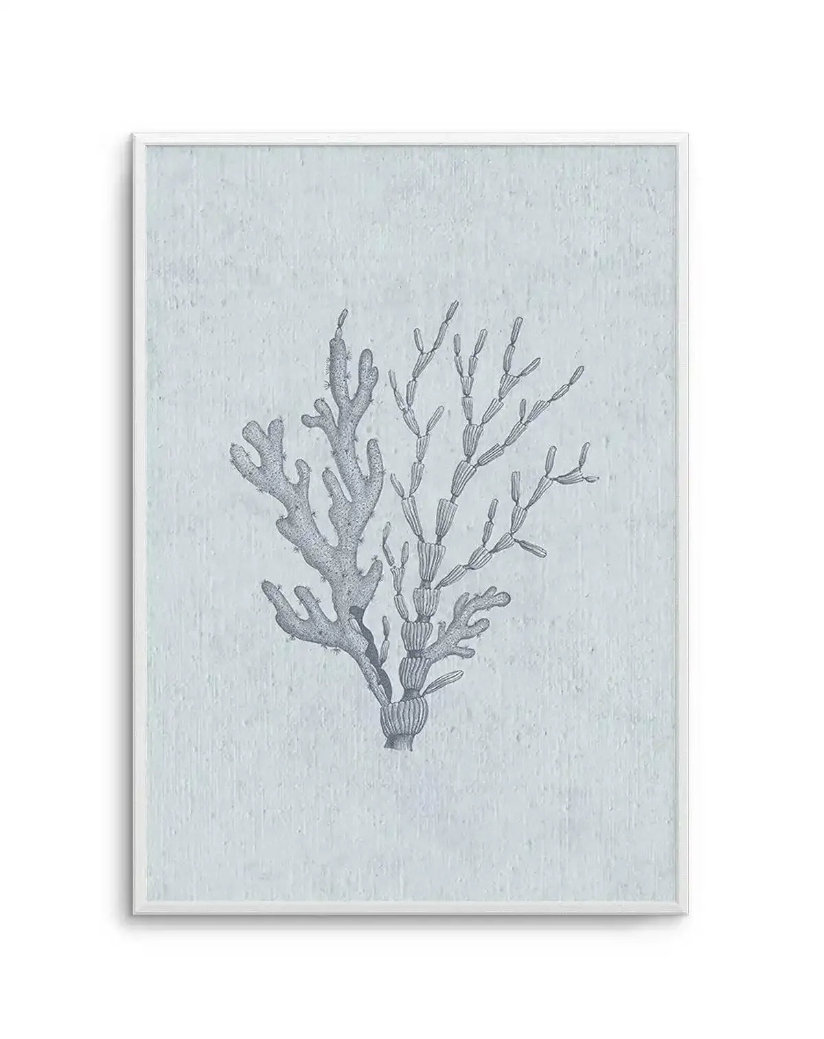 Hamptons Seaside Collection IV Blue Art Print-PRINT-Olive et Oriel-Olive et Oriel-A5 | 5.8" x 8.3" | 14.8 x 21cm-Unframed Art Print-With White Border-Buy-Australian-Art-Prints-Online-with-Olive-et-Oriel-Your-Artwork-Specialists-Austrailia-Decorate-With-Coastal-Photo-Wall-Art-Prints-From-Our-Beach-House-Artwork-Collection-Fine-Poster-and-Framed-Artwork